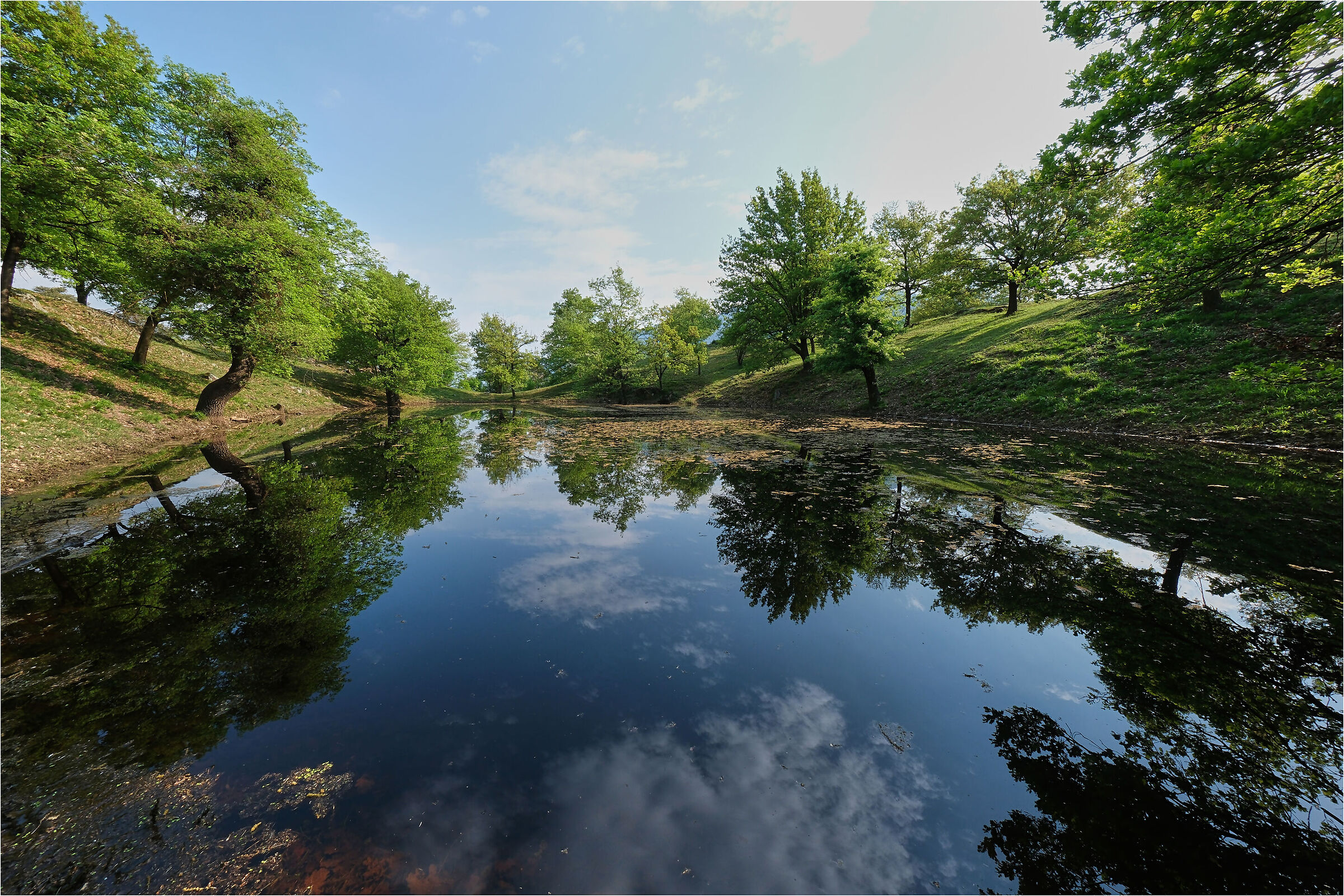 The Little Pond...