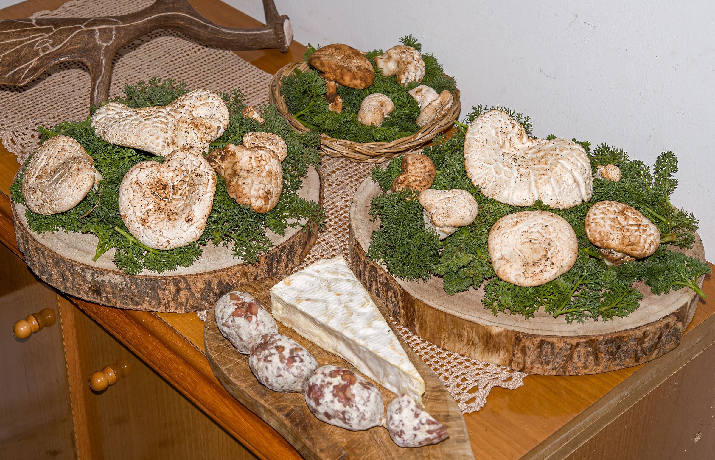 Pleurotus Nebrodensis ...