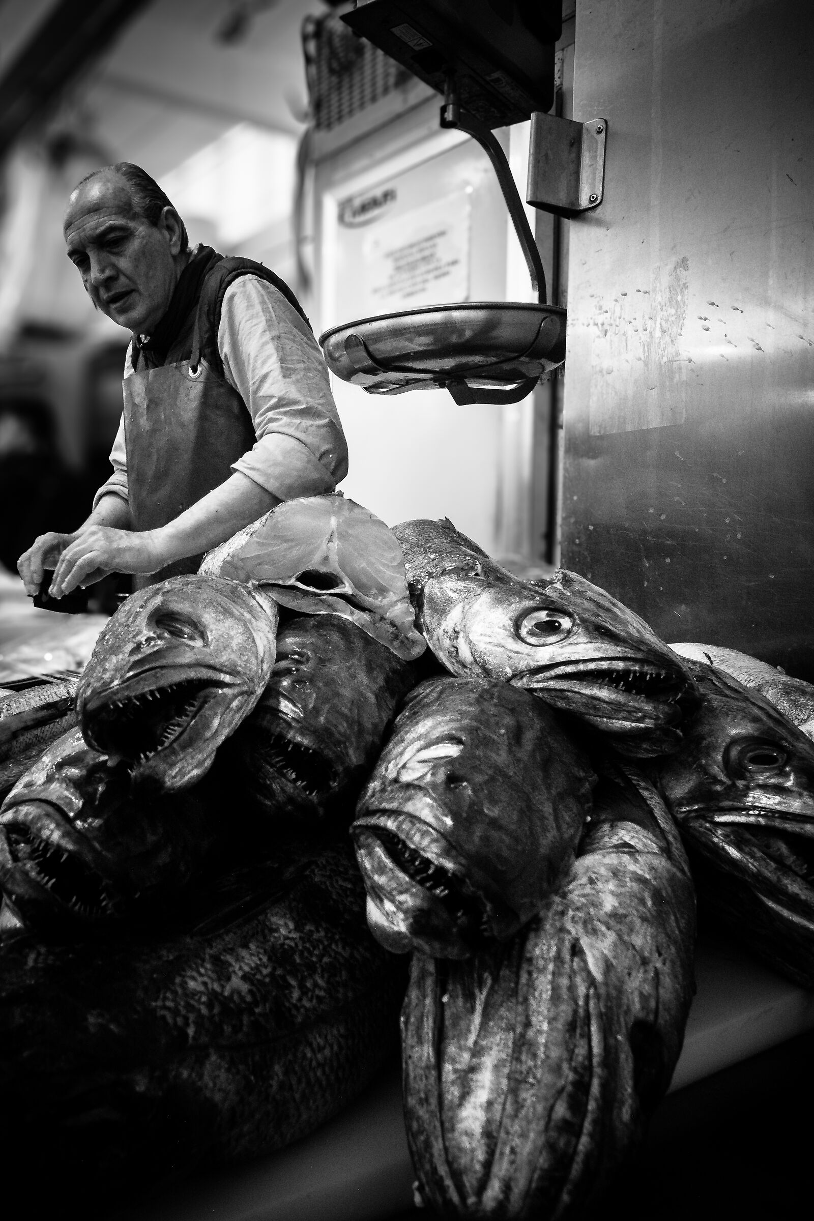 Venditore di pesci a Cadiz...