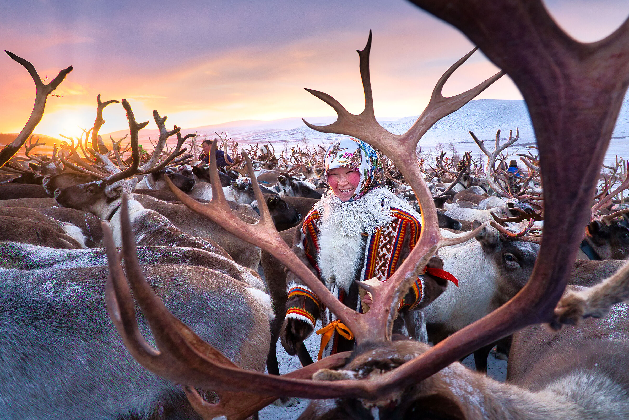 Among the reindeer...