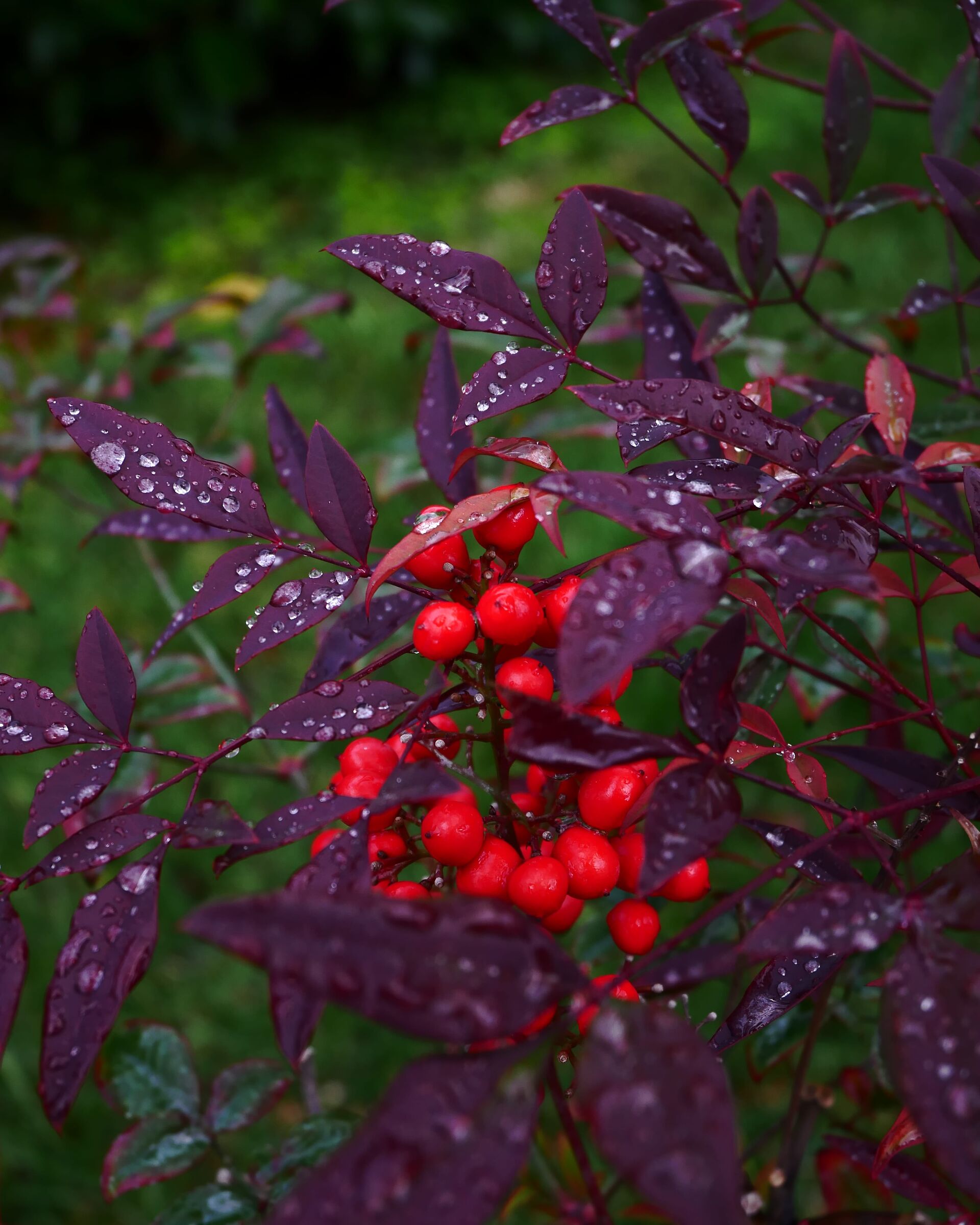 Bright red...