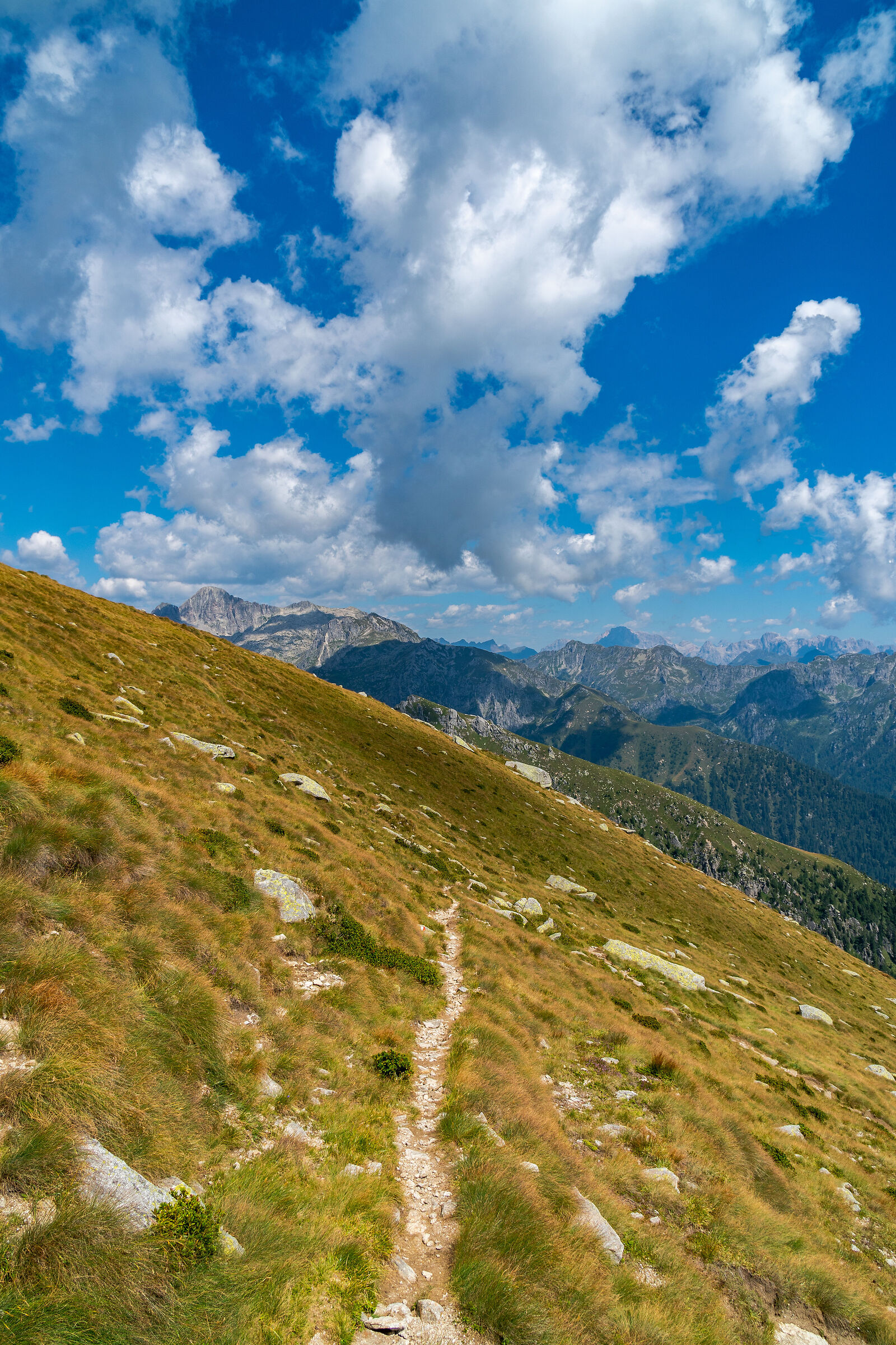 High-altitude trails...