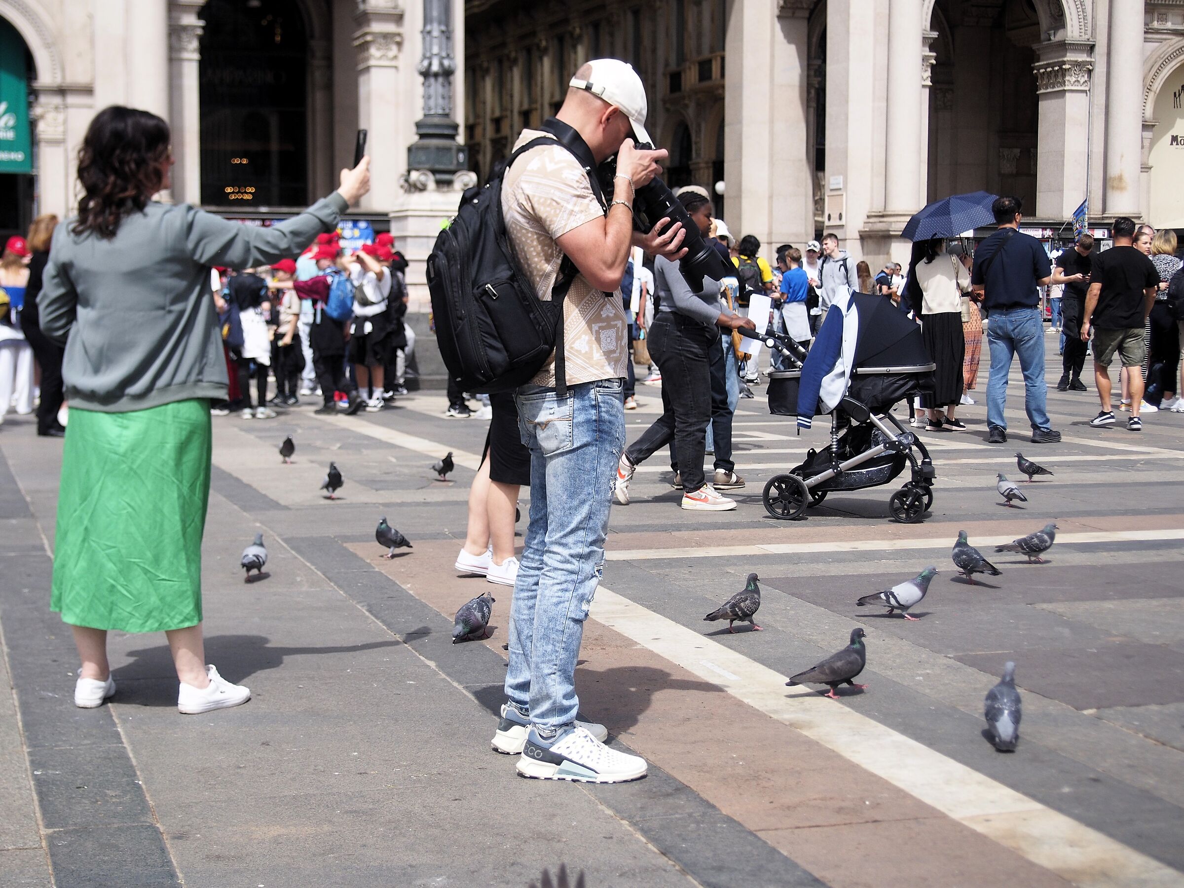 Birdlife in Piazza Duomo????...