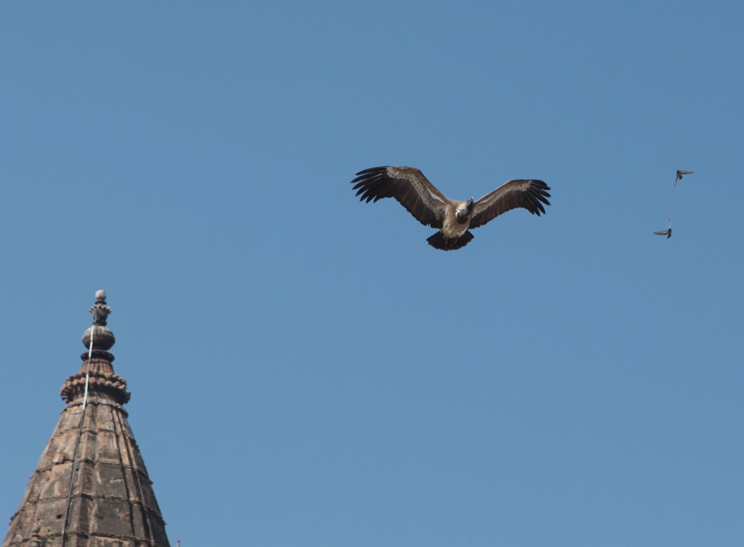 Orchha - India- Madhya Pradesch...