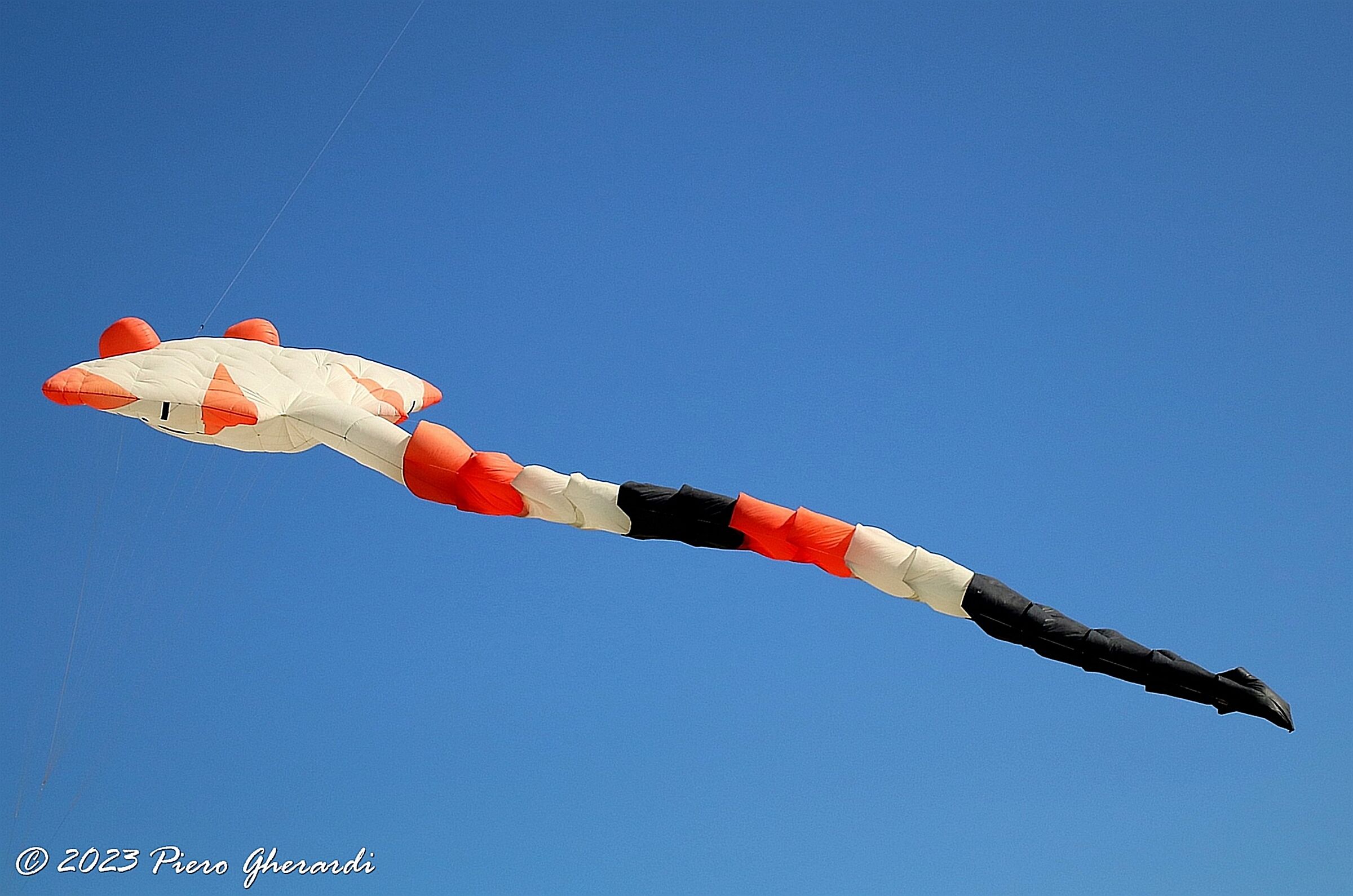 44th International Kite Festival 30/04/24 Cervia...