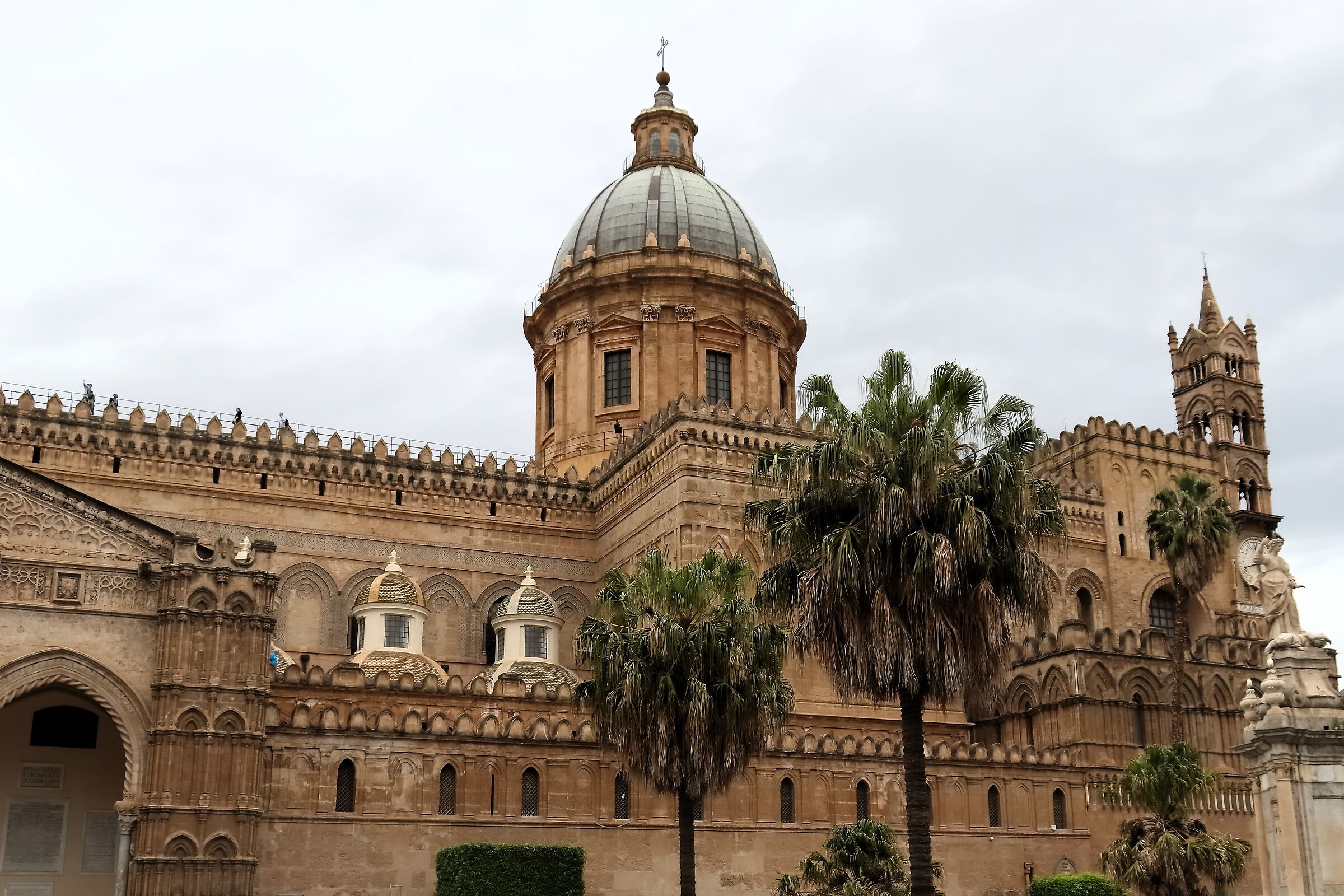 Palermo 16-04-2024 - 0334...