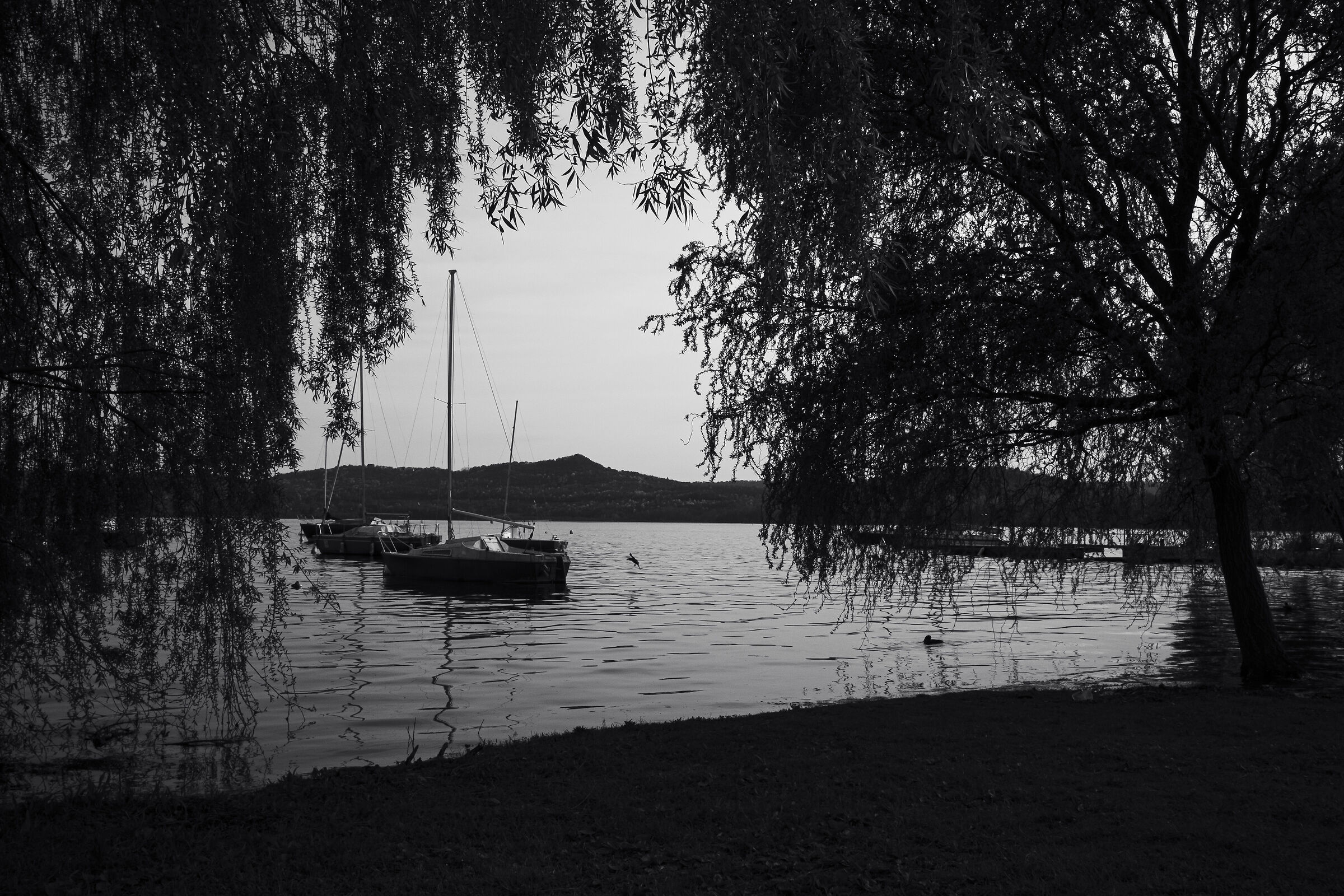 Boats...