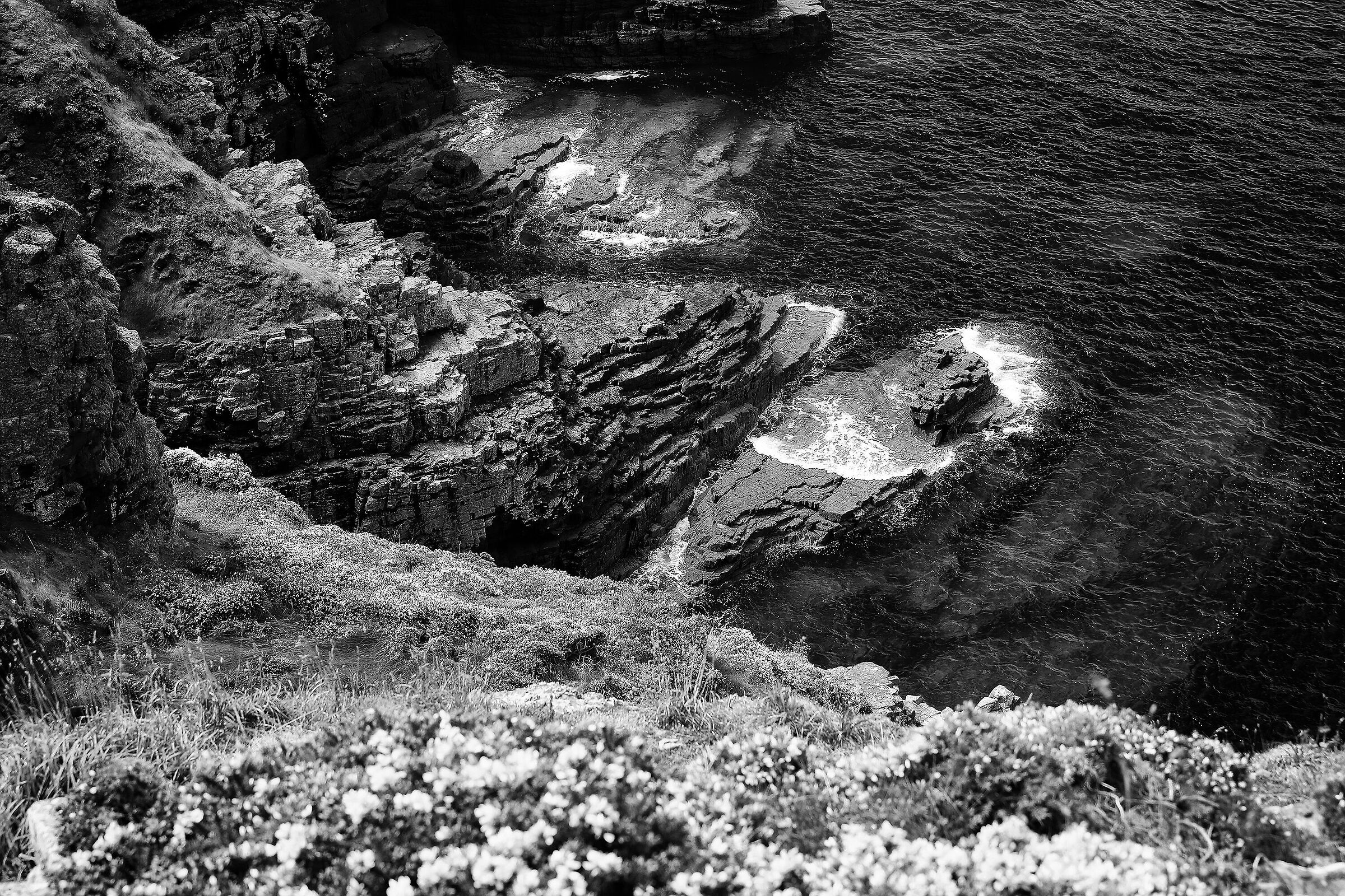 Untitled Photo...