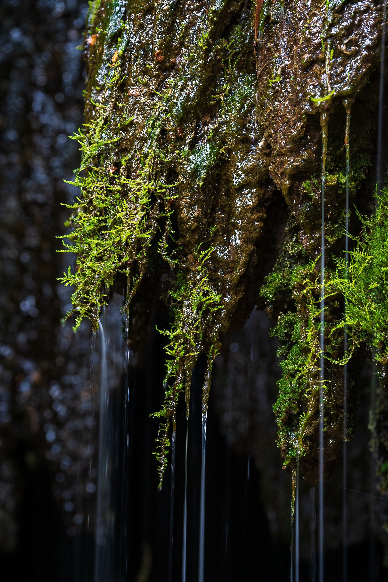 Green waterfall...
