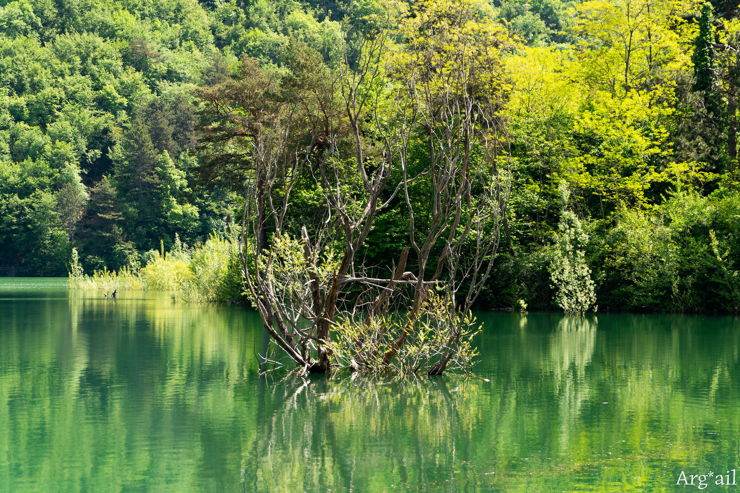 Lake Val Noci...