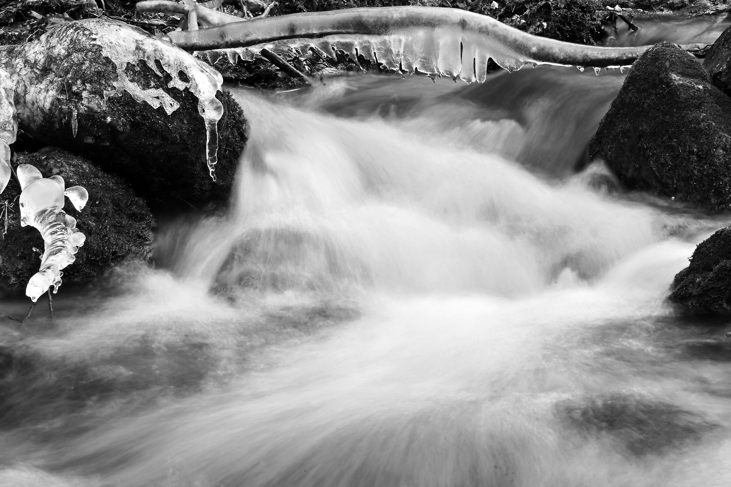 Untitled Photo...