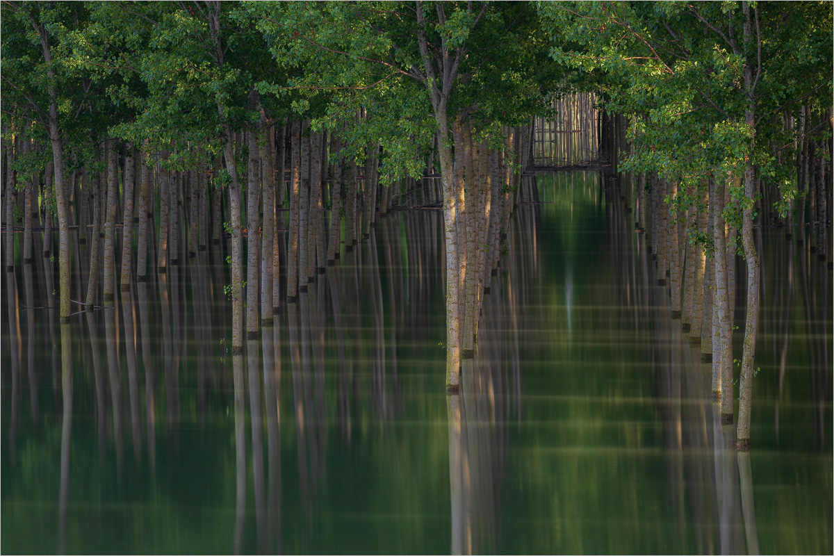 Emerald Green...