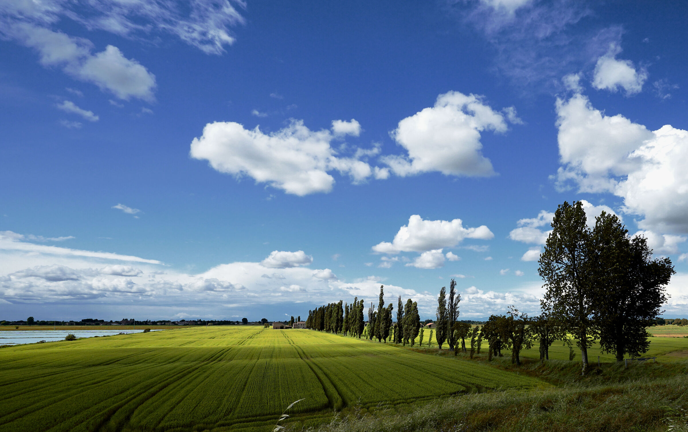 Landa dietro l'argine...
