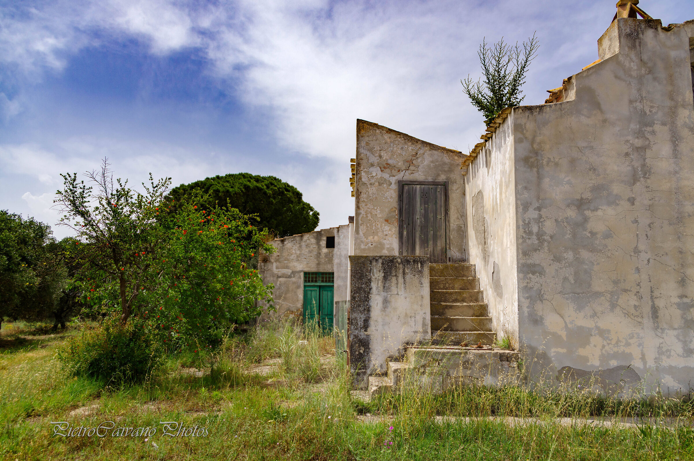 Fascinating ruin...