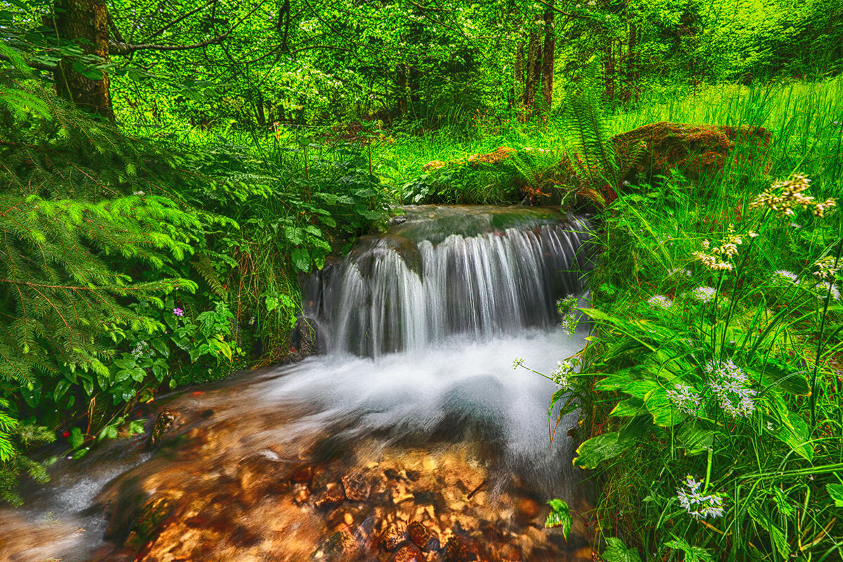 Waterfaal in the green...