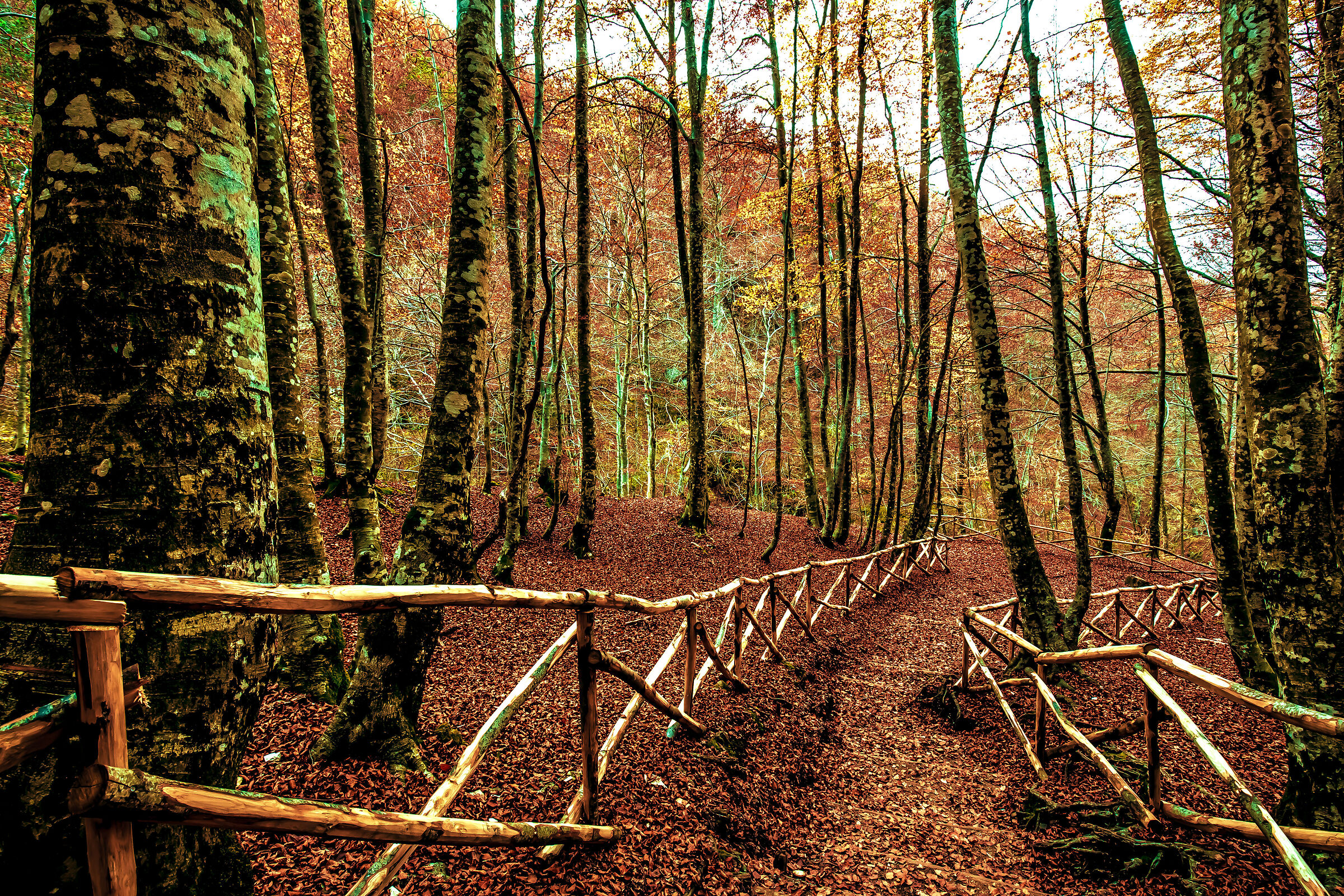Autunno...