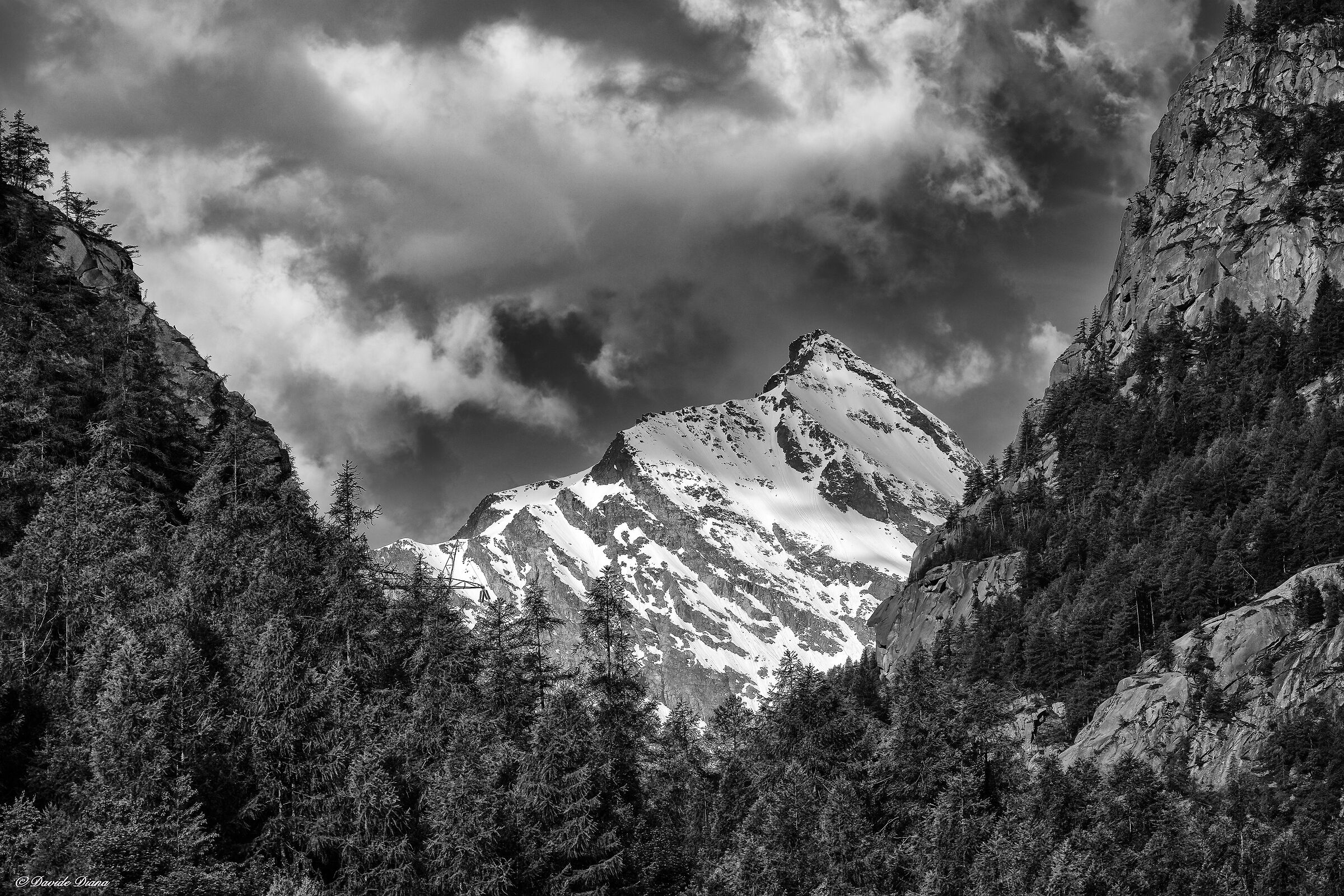 Gran Paradiso National Park - Piedmont...
