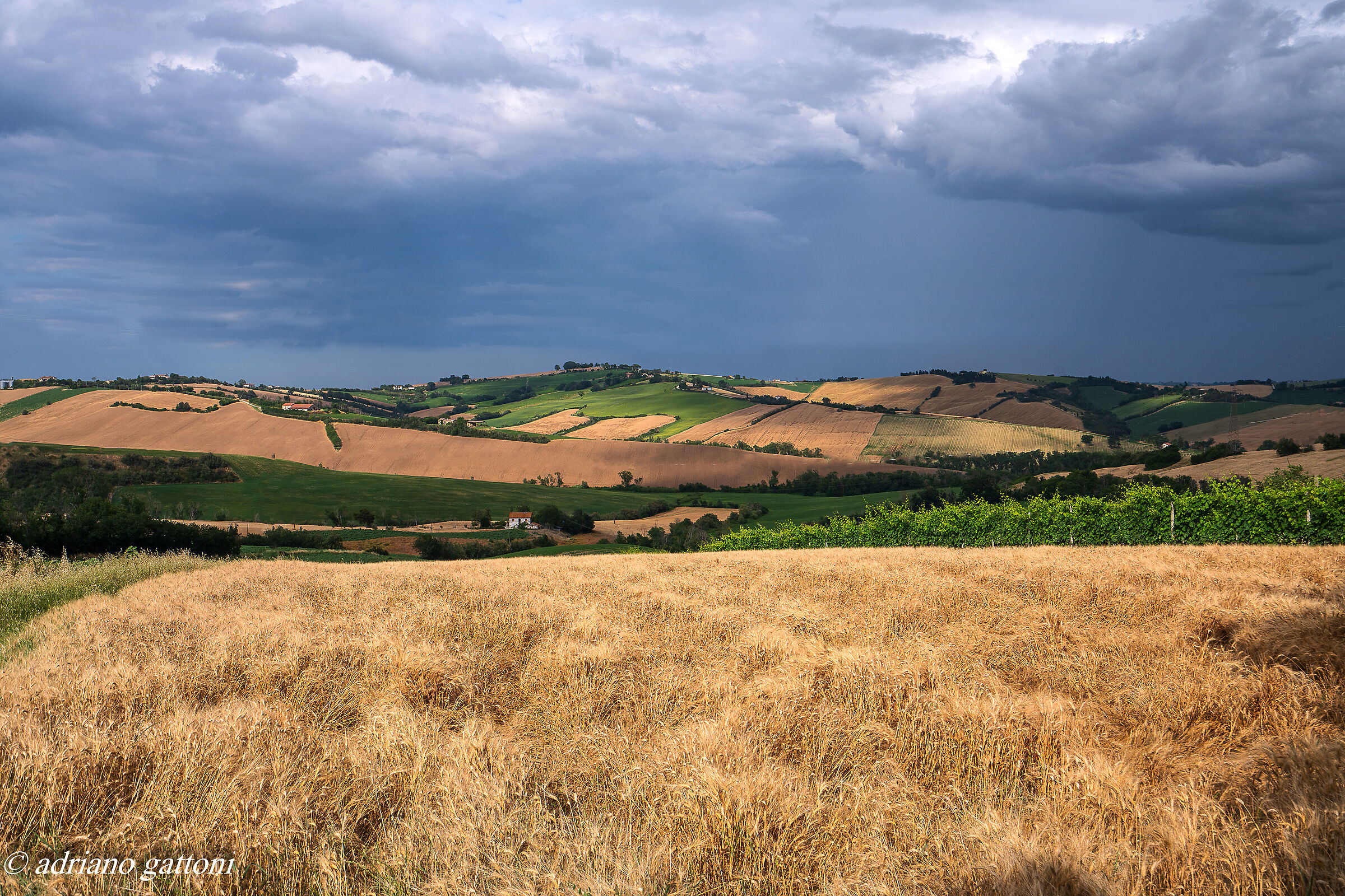La mia ... val Metauro ......