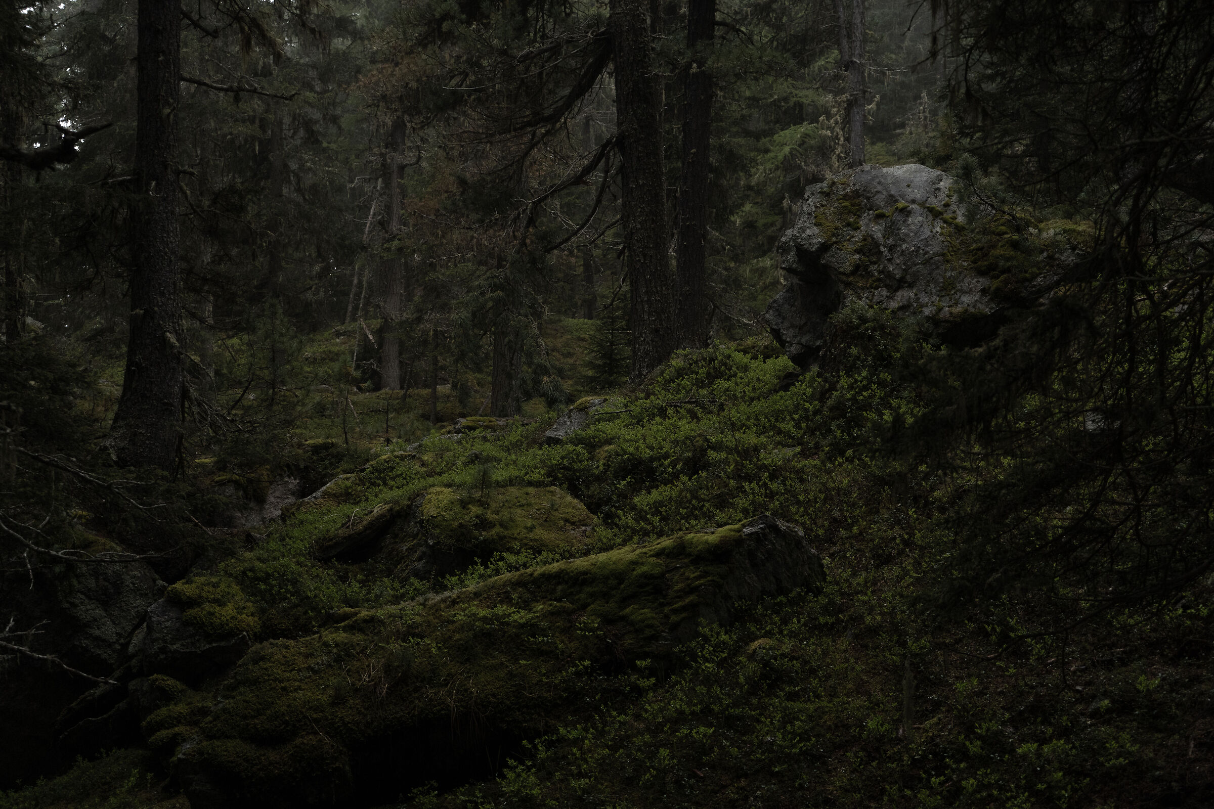 Untitled Photo...