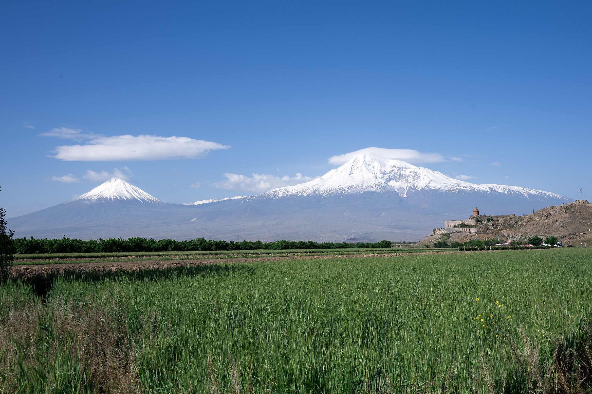 Armenia 2024 - L'ararat...