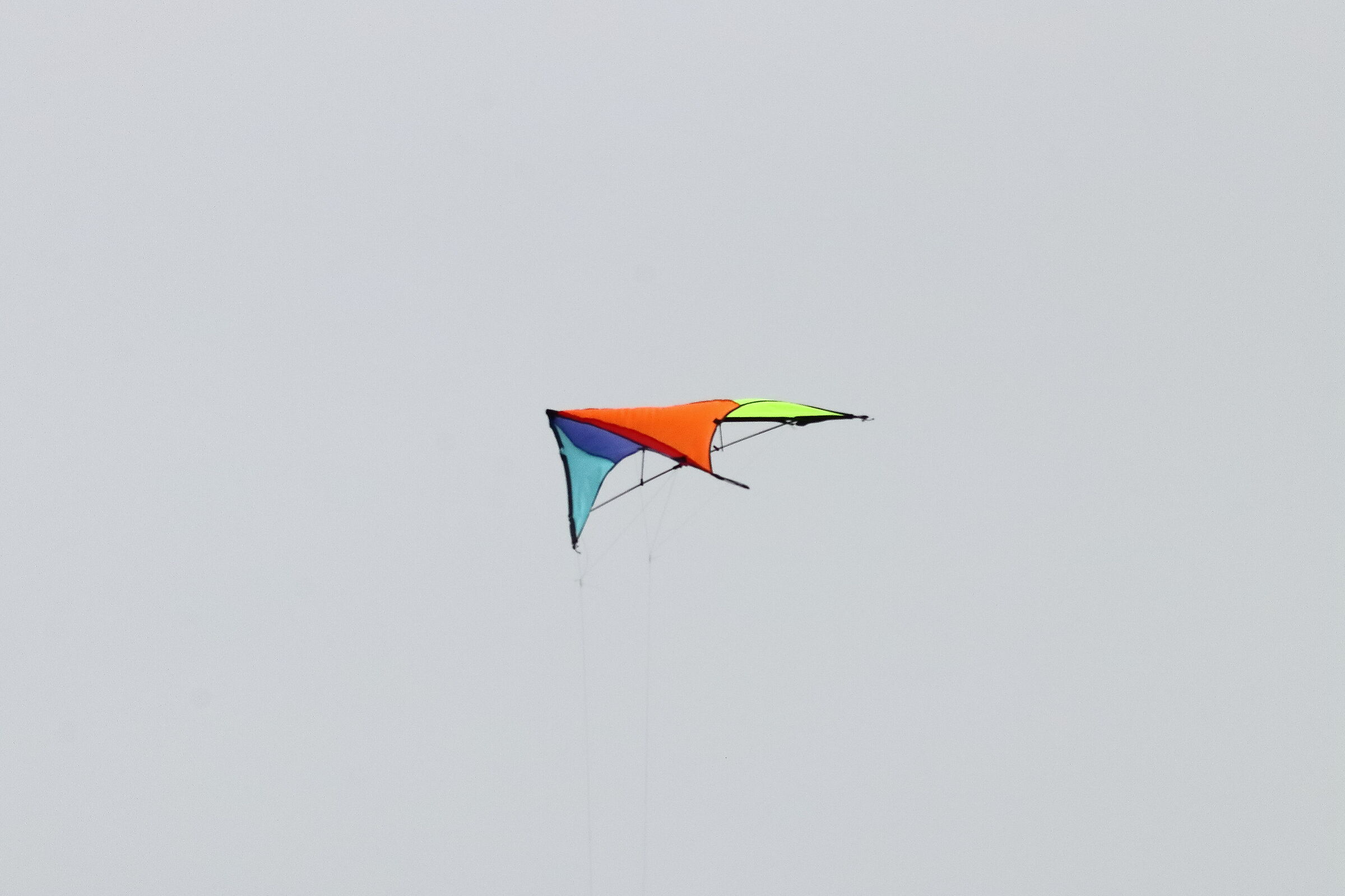 The Kite 15-06-2024 0001...