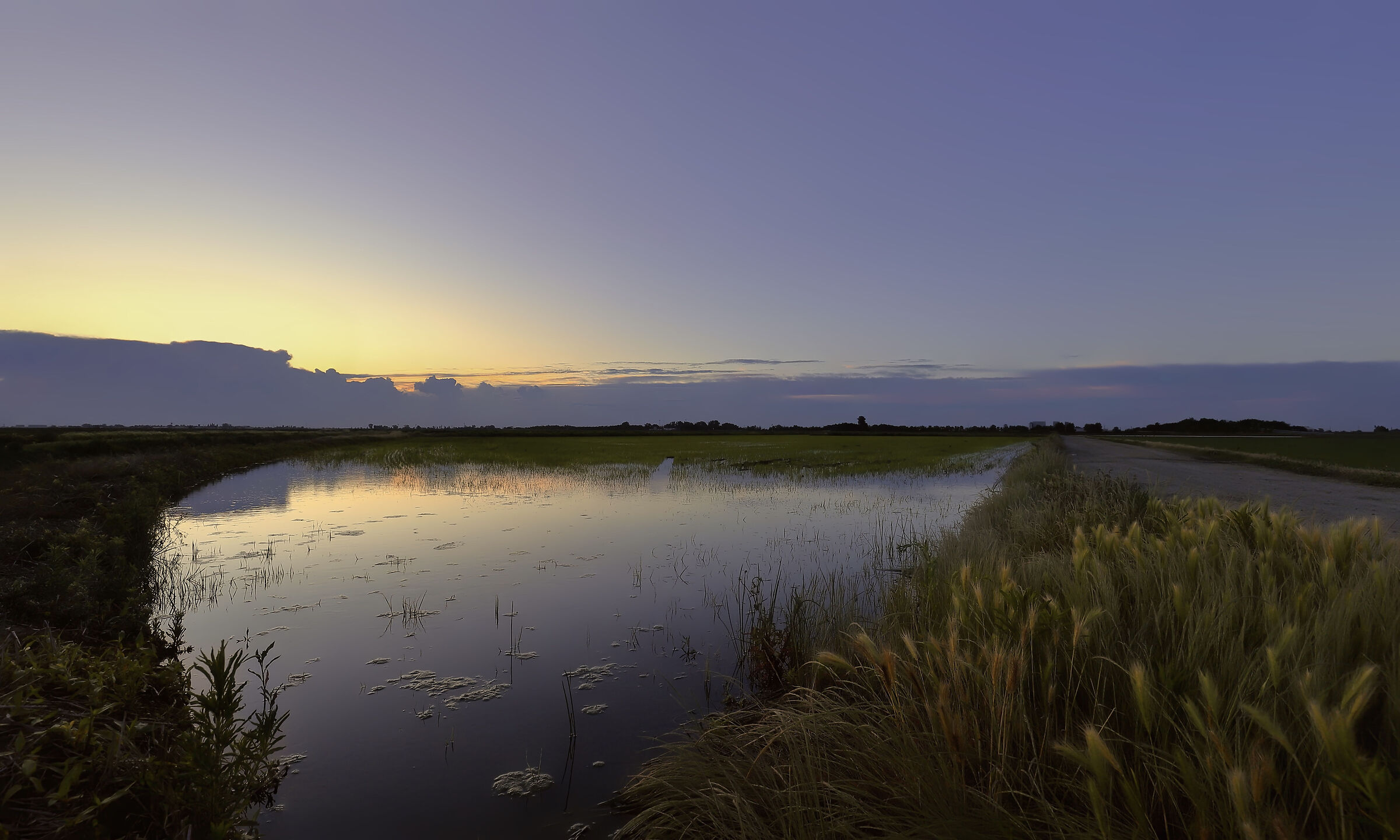 At dusk...