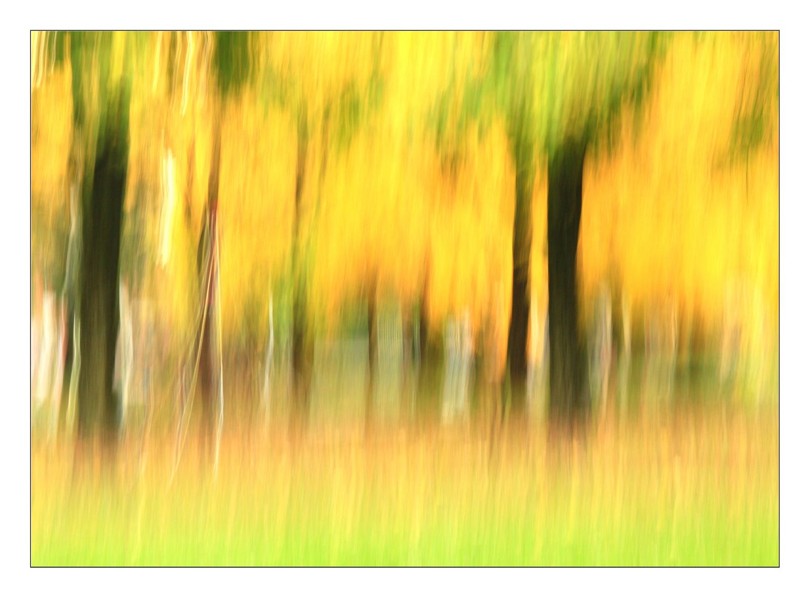 Impressions of autunno_05...