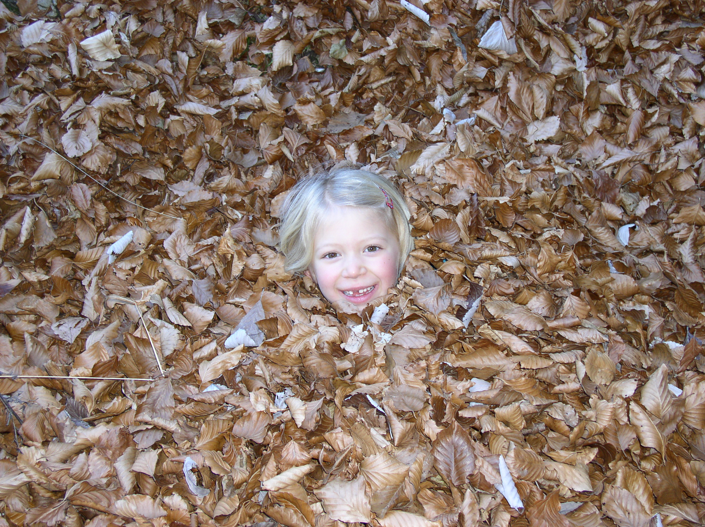 Matilda nel pozzo di foglie...