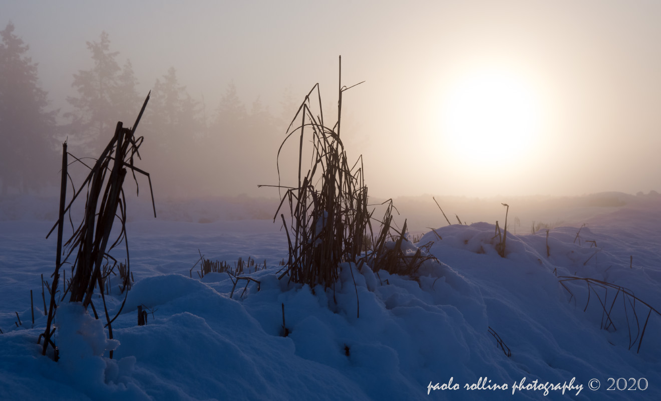 snow and fog at sunset...