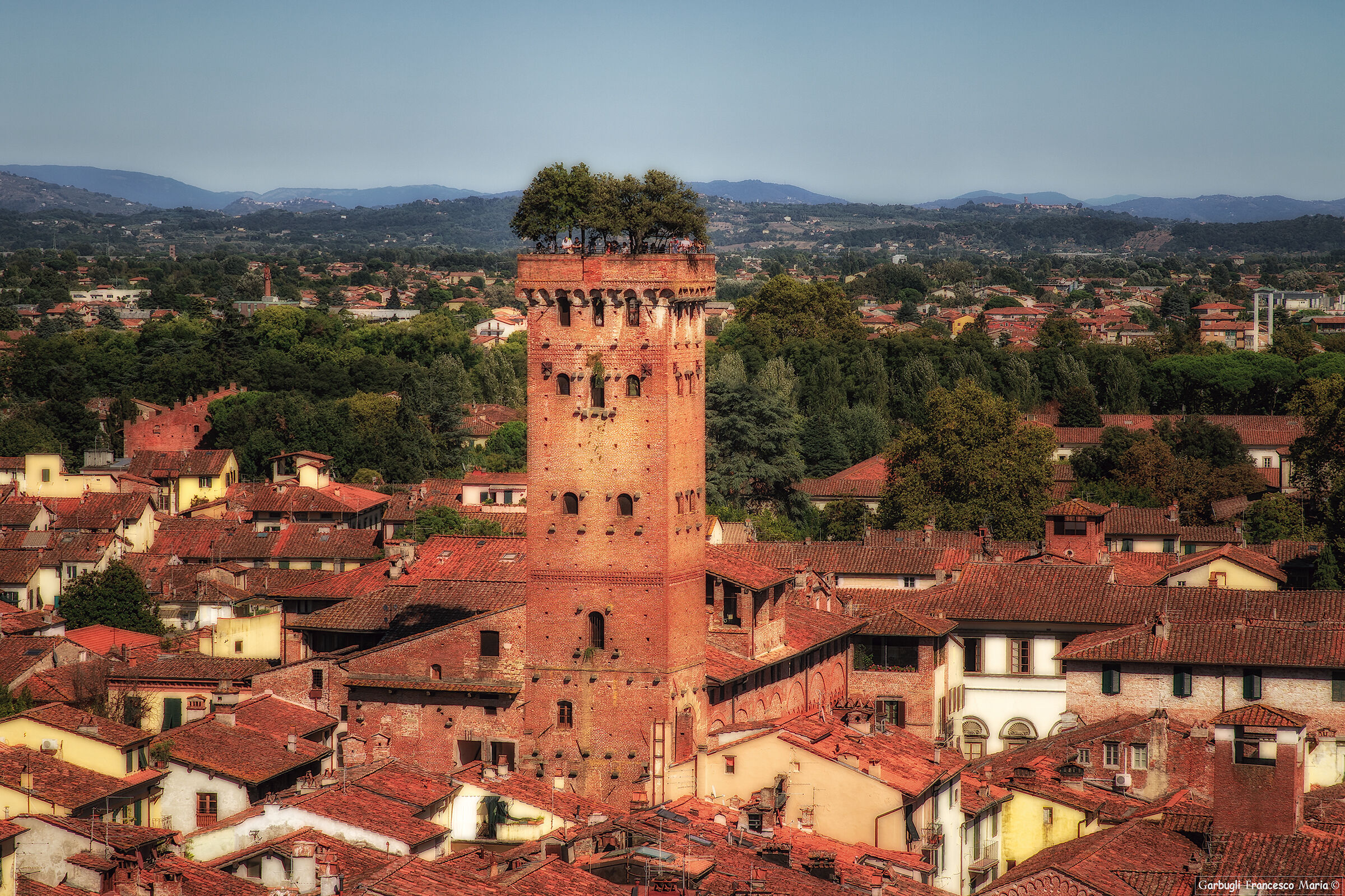 Guinigi Tower...