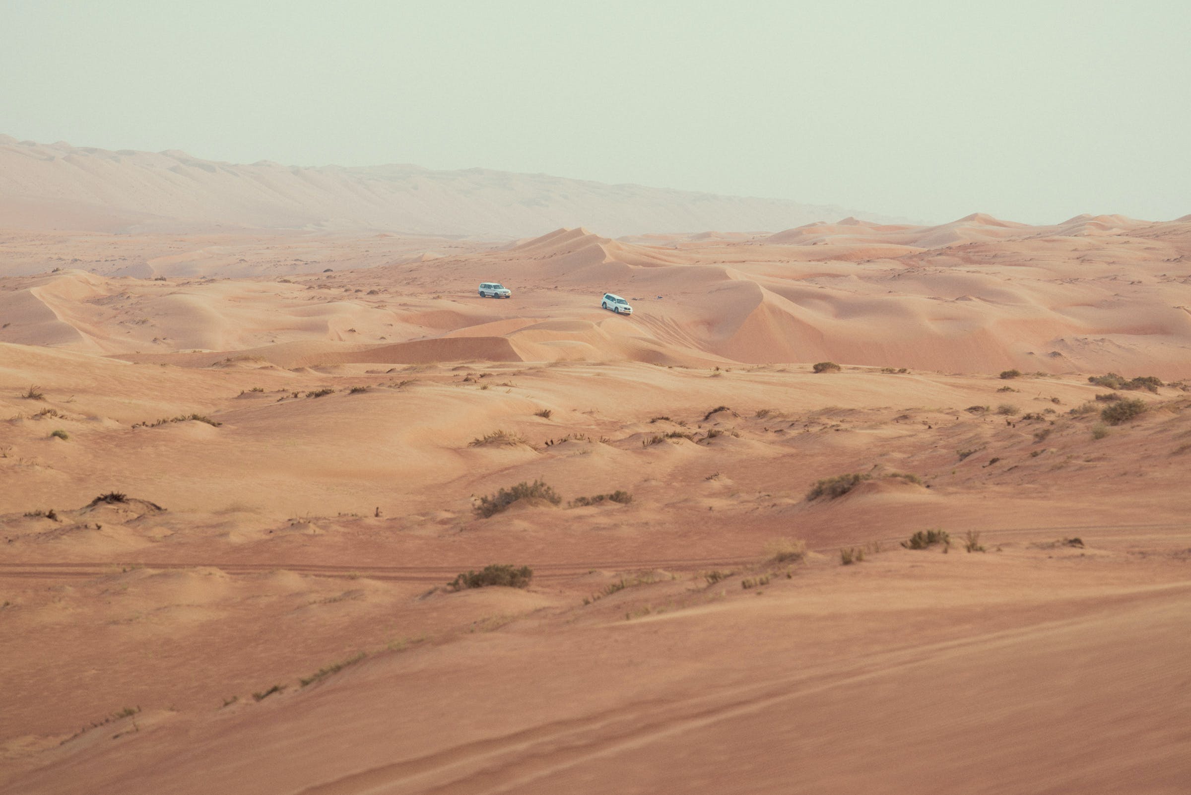 In esplorazione sulle dune...