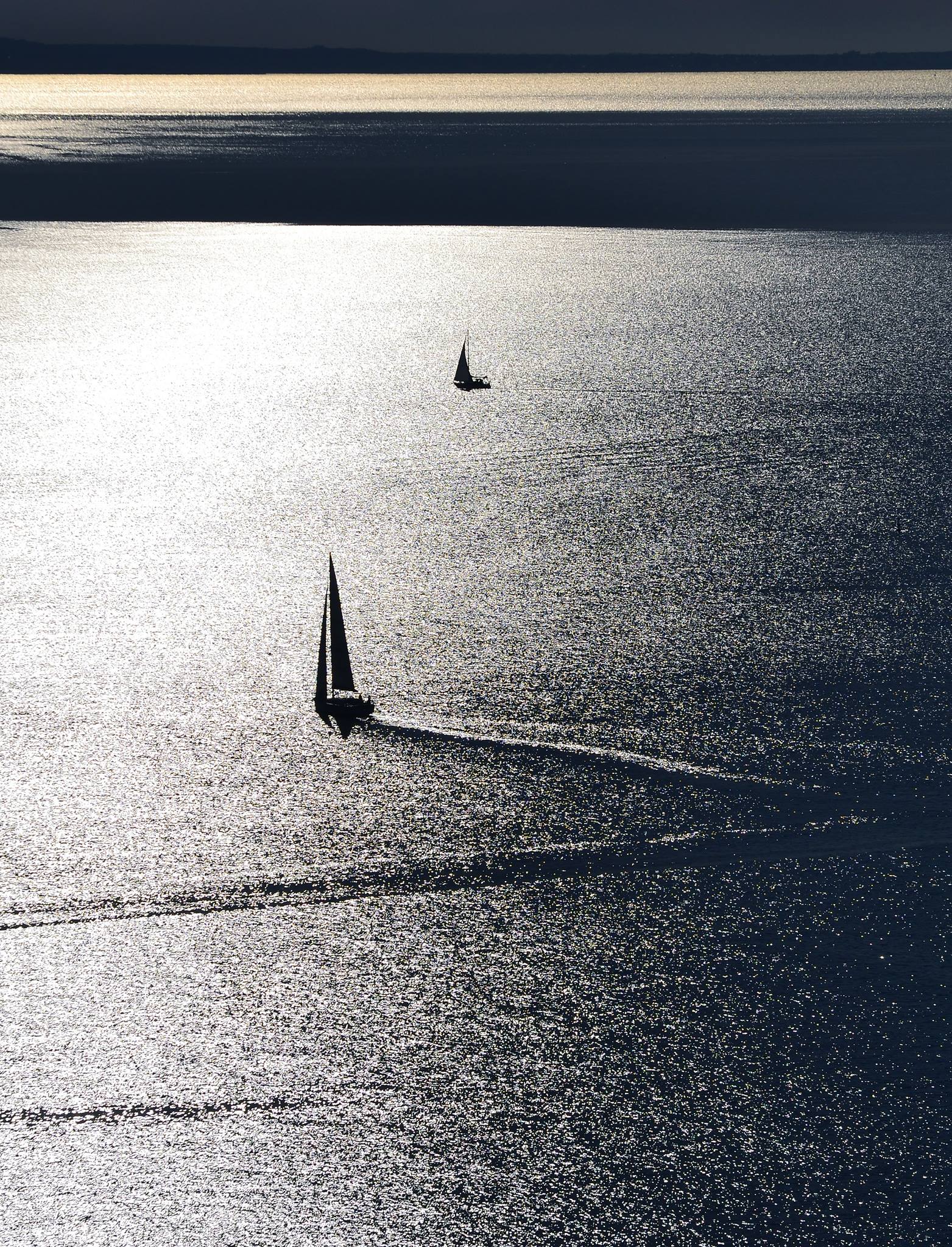 Gulf of Trieste ...