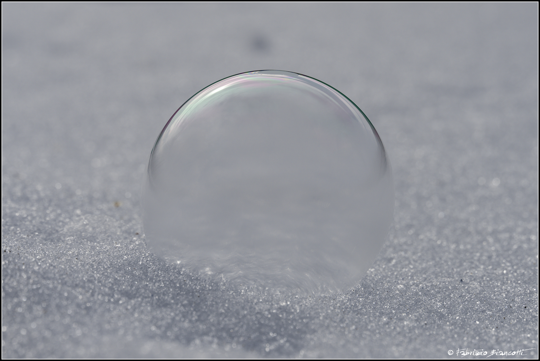 Soap bubble on the snow...
