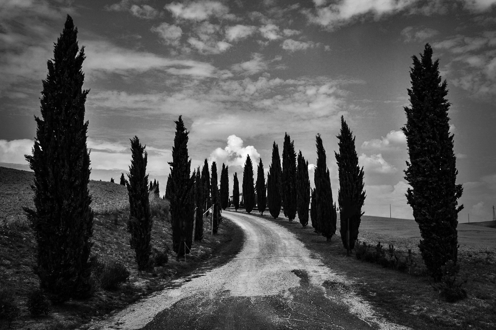 Val d'Orcia Department (Siena)...