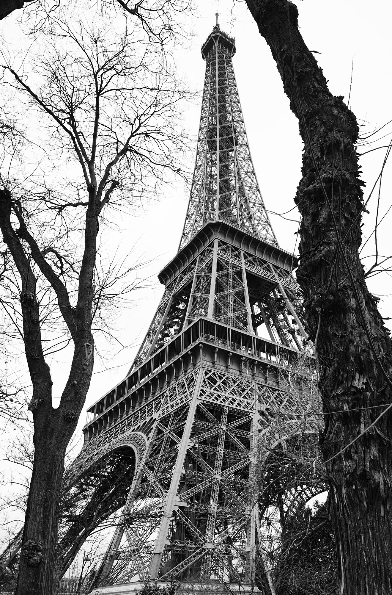 Tour Eiffel 4...