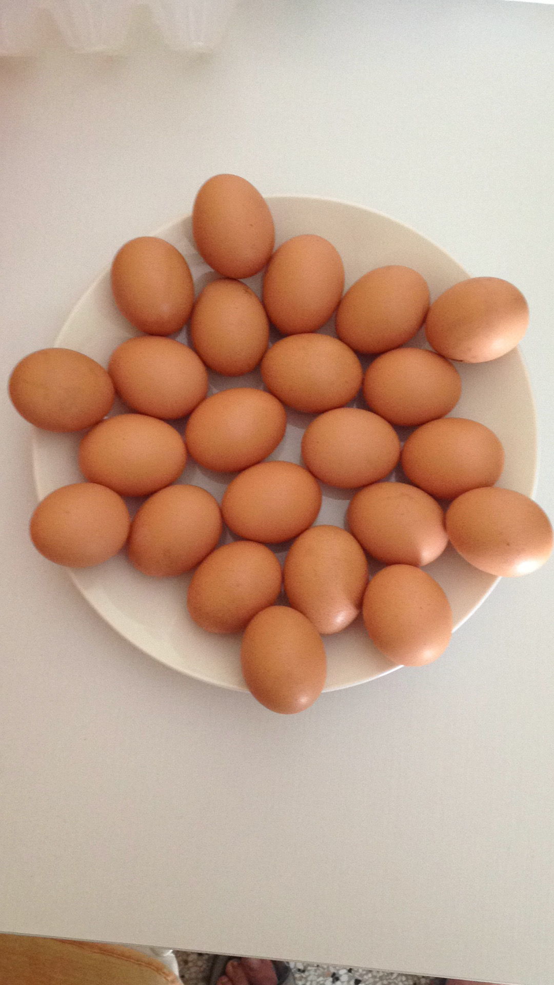 Eggs...