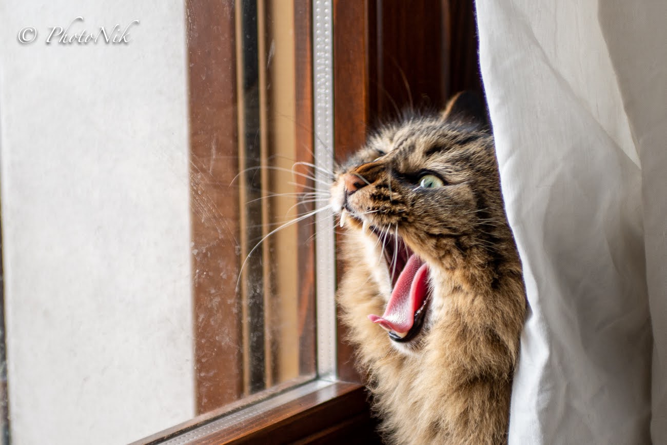 Yawn...