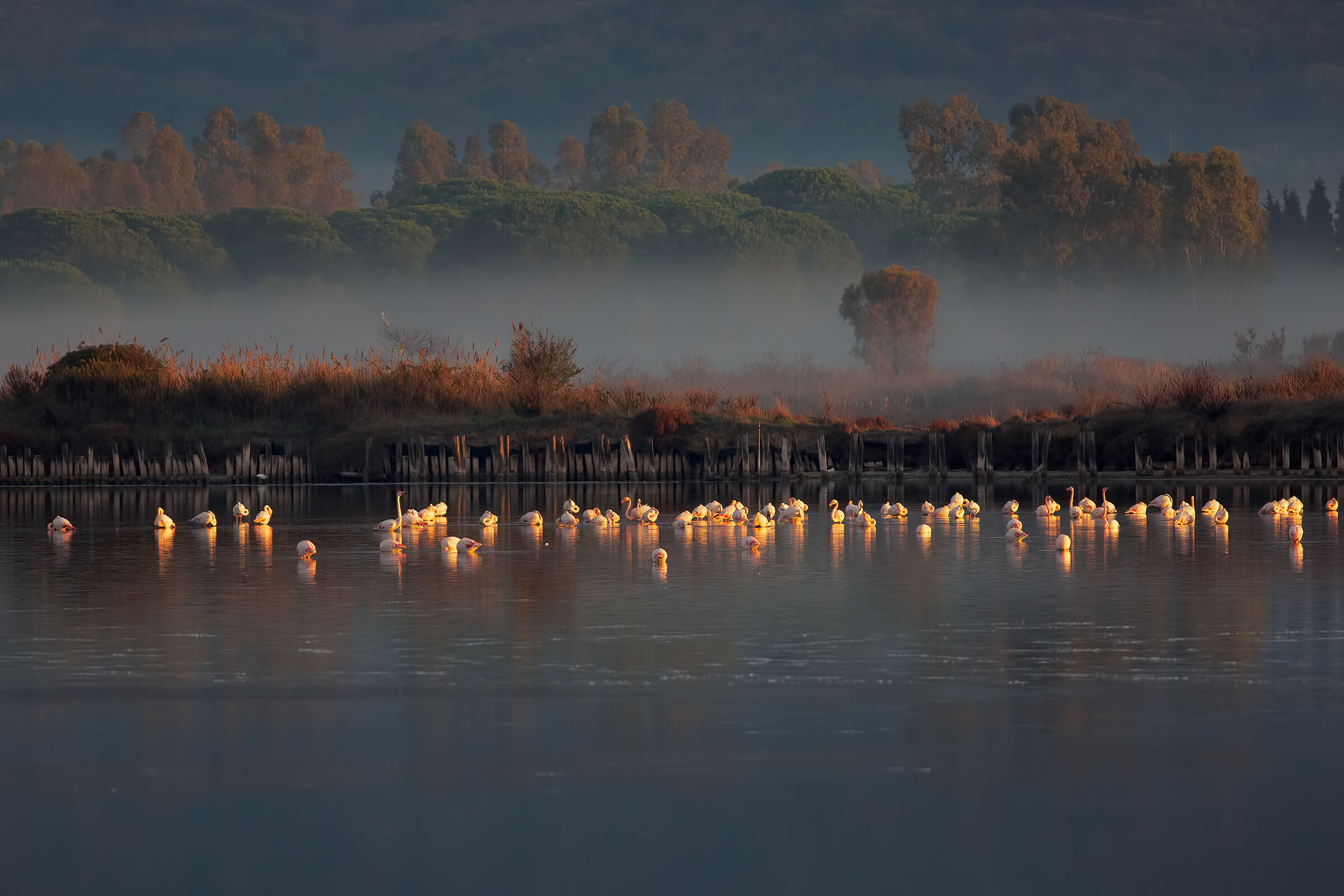 Orbetello Lagoon (First Light of Dawn)...