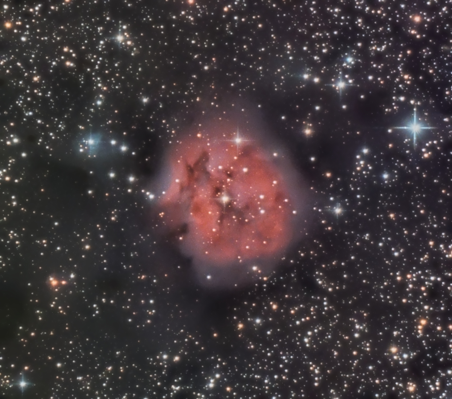 Cocoon Nebula August 2020...