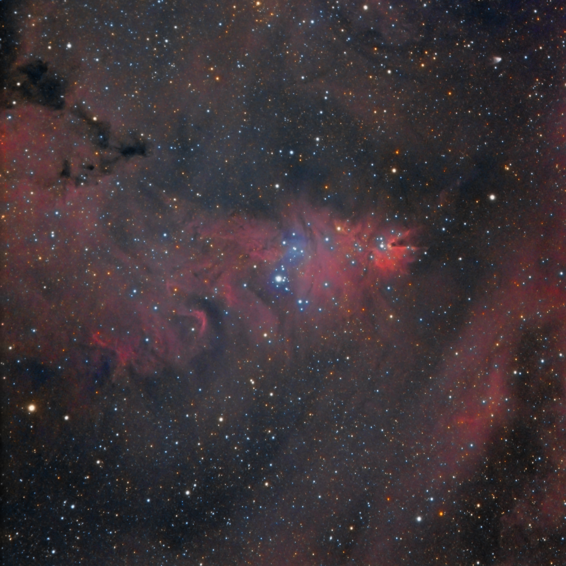 NGC2264 and Cone Nebula...