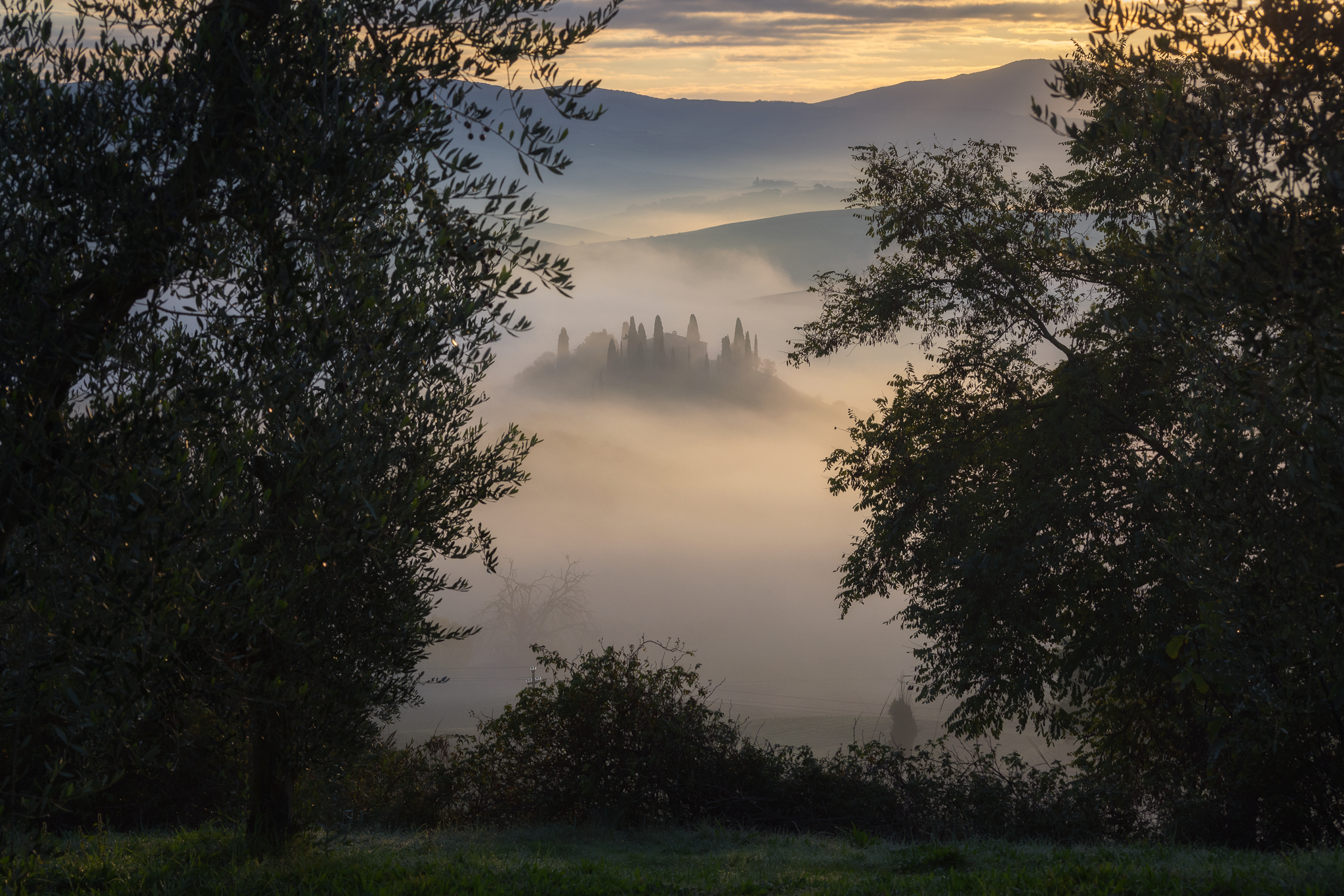 Nebbia in Val d'Orcia...