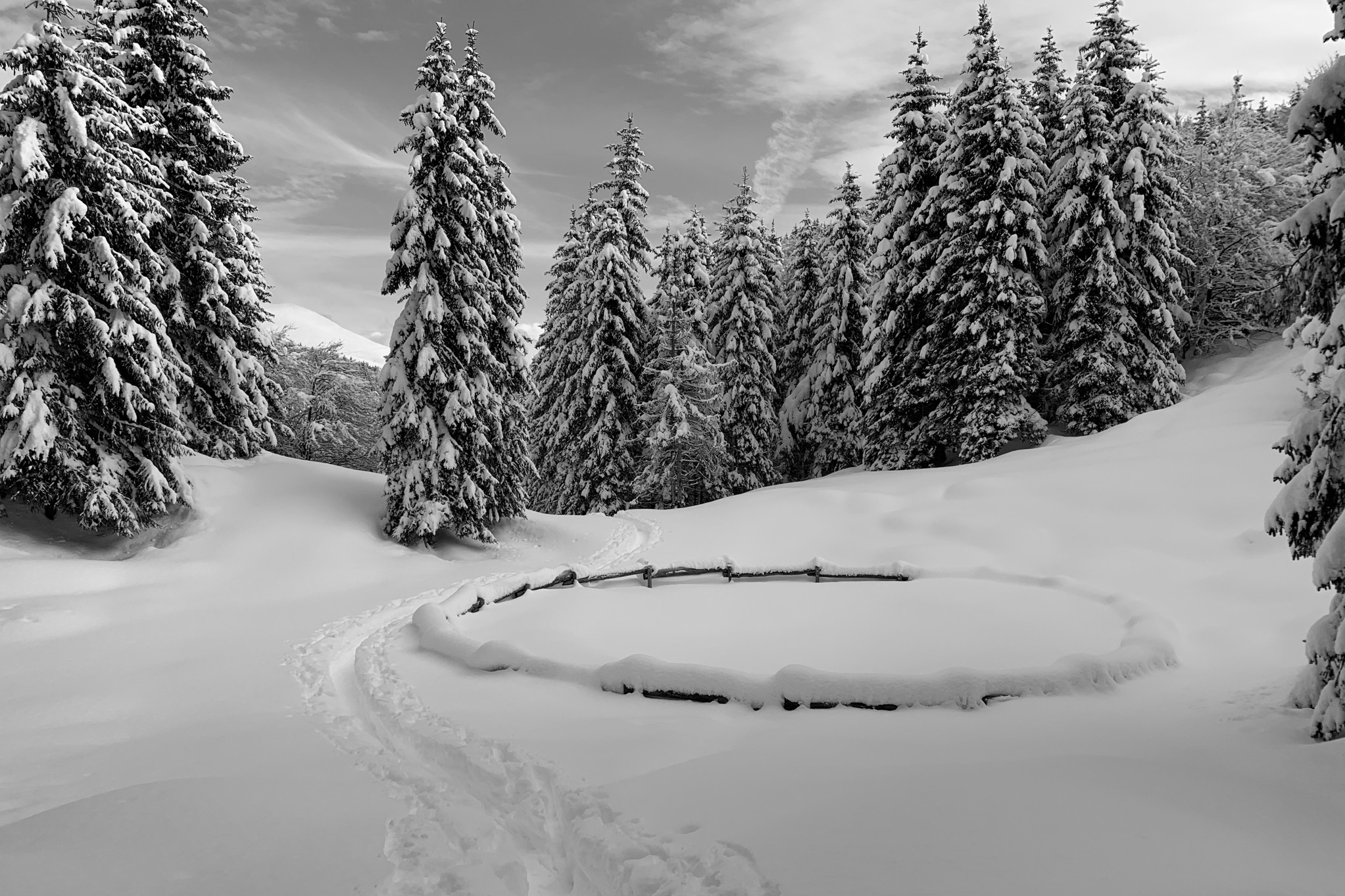 Circles in the snow...