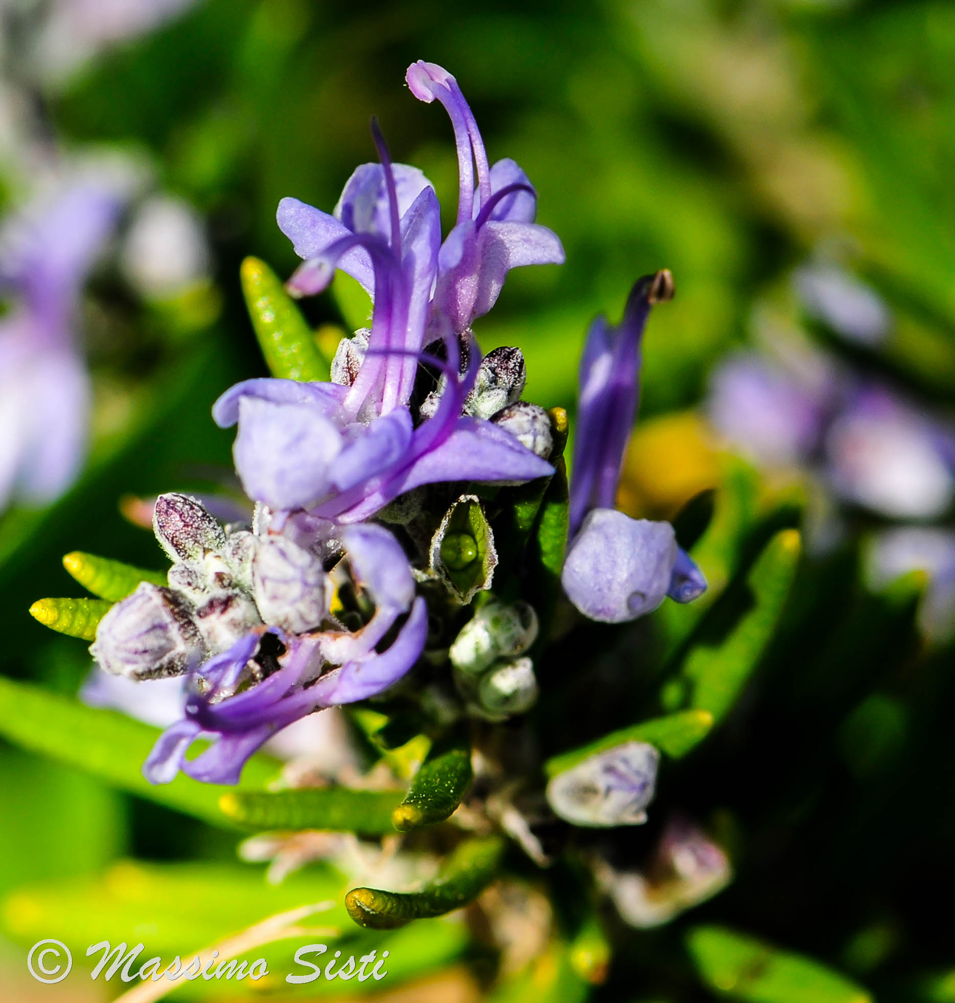 Untitled Photo...