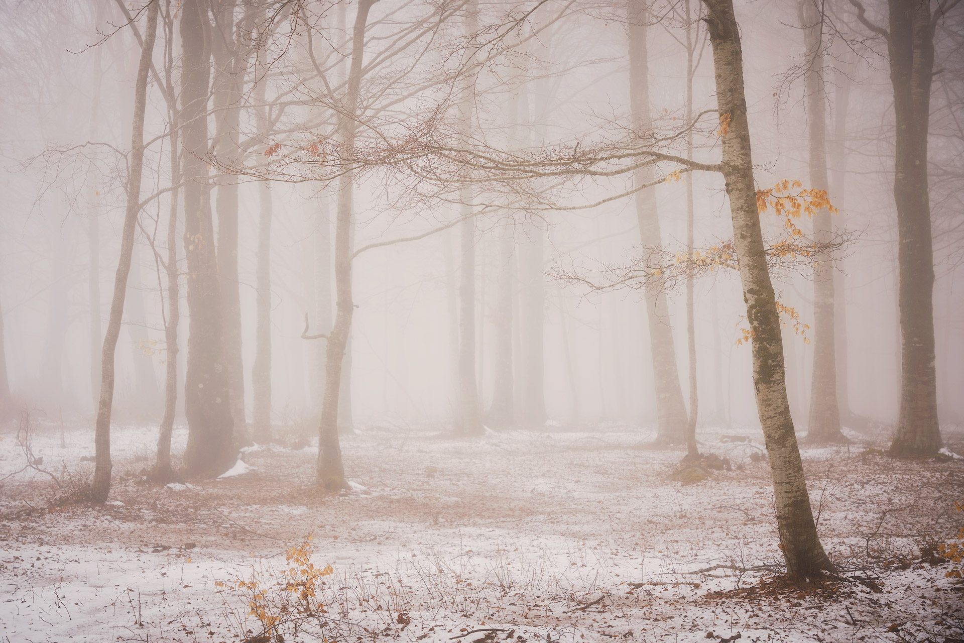 Winter 103...