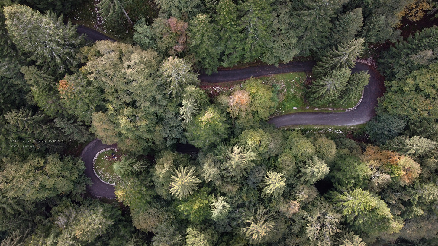 The road in the woods. Drone...