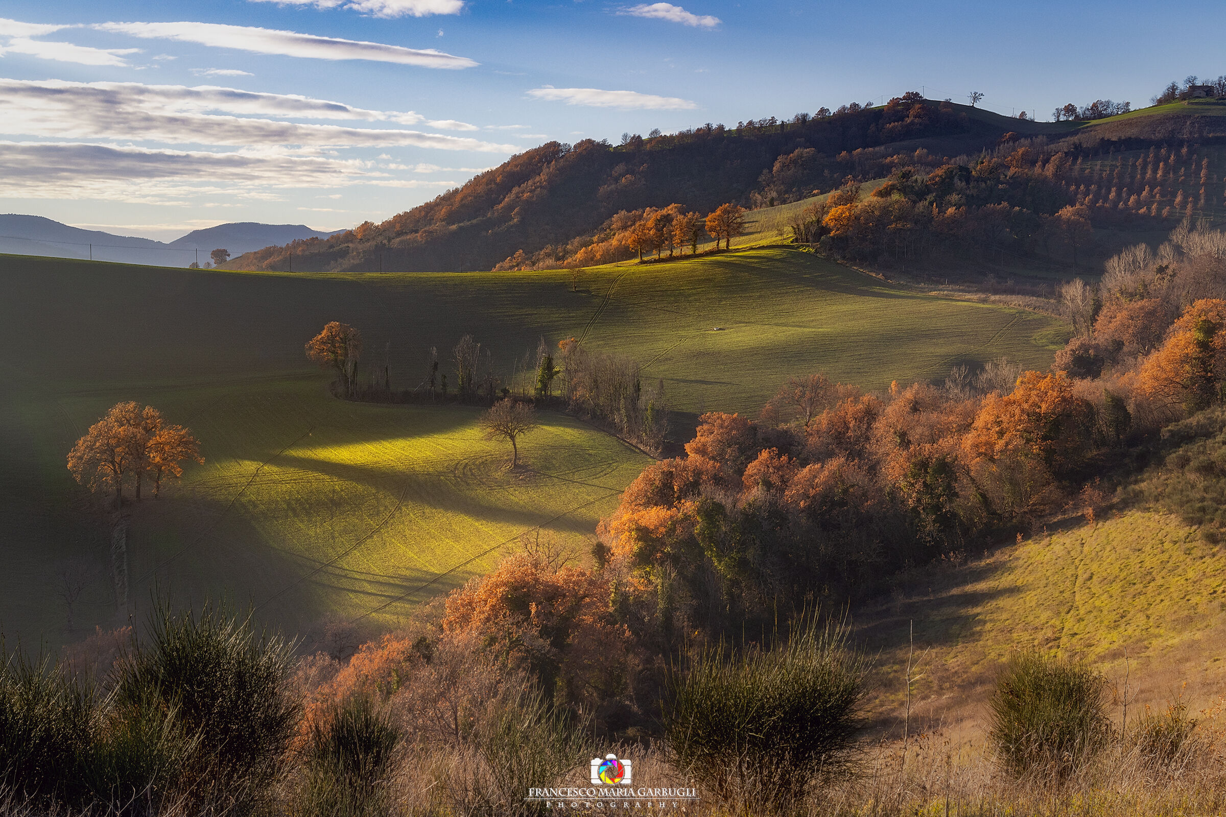 The rolling hills of the Marche......