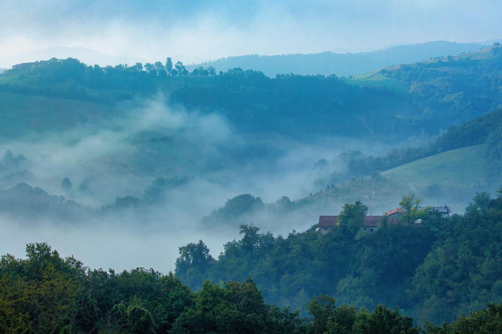 Morning fog in the countryside of Quattro Castella...