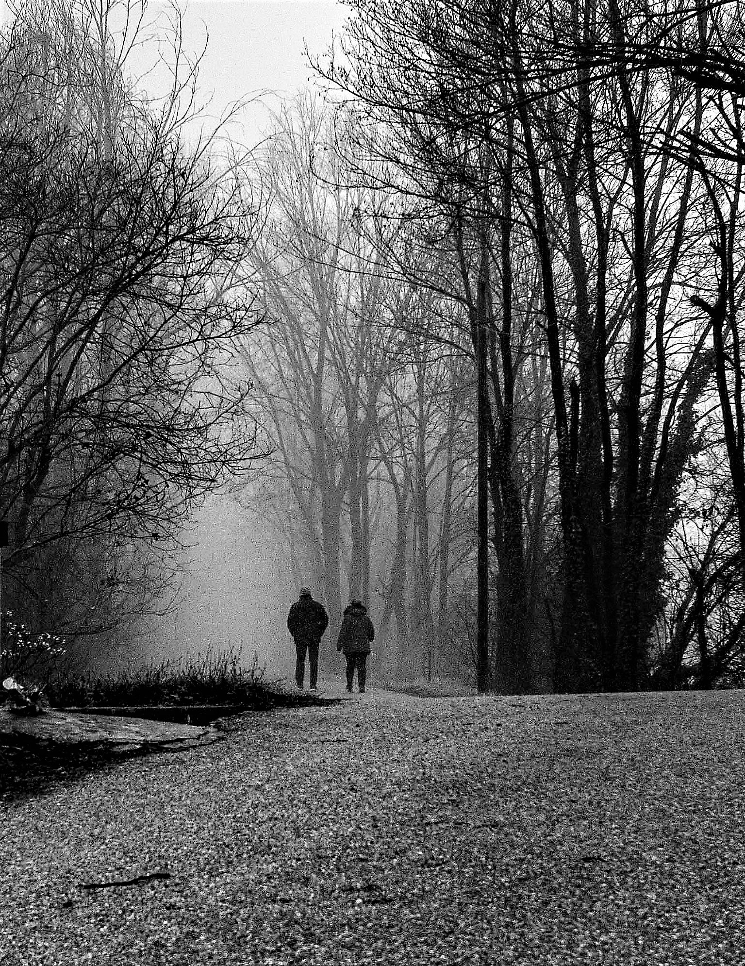 Walking in the fog...