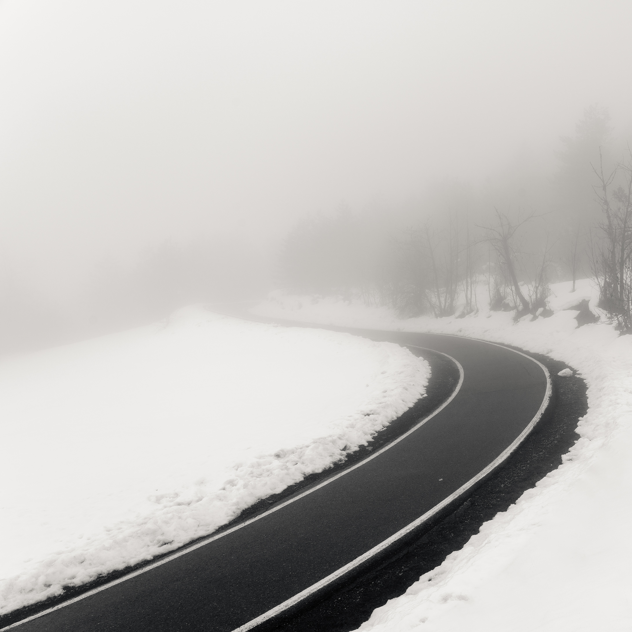 Misty Road...