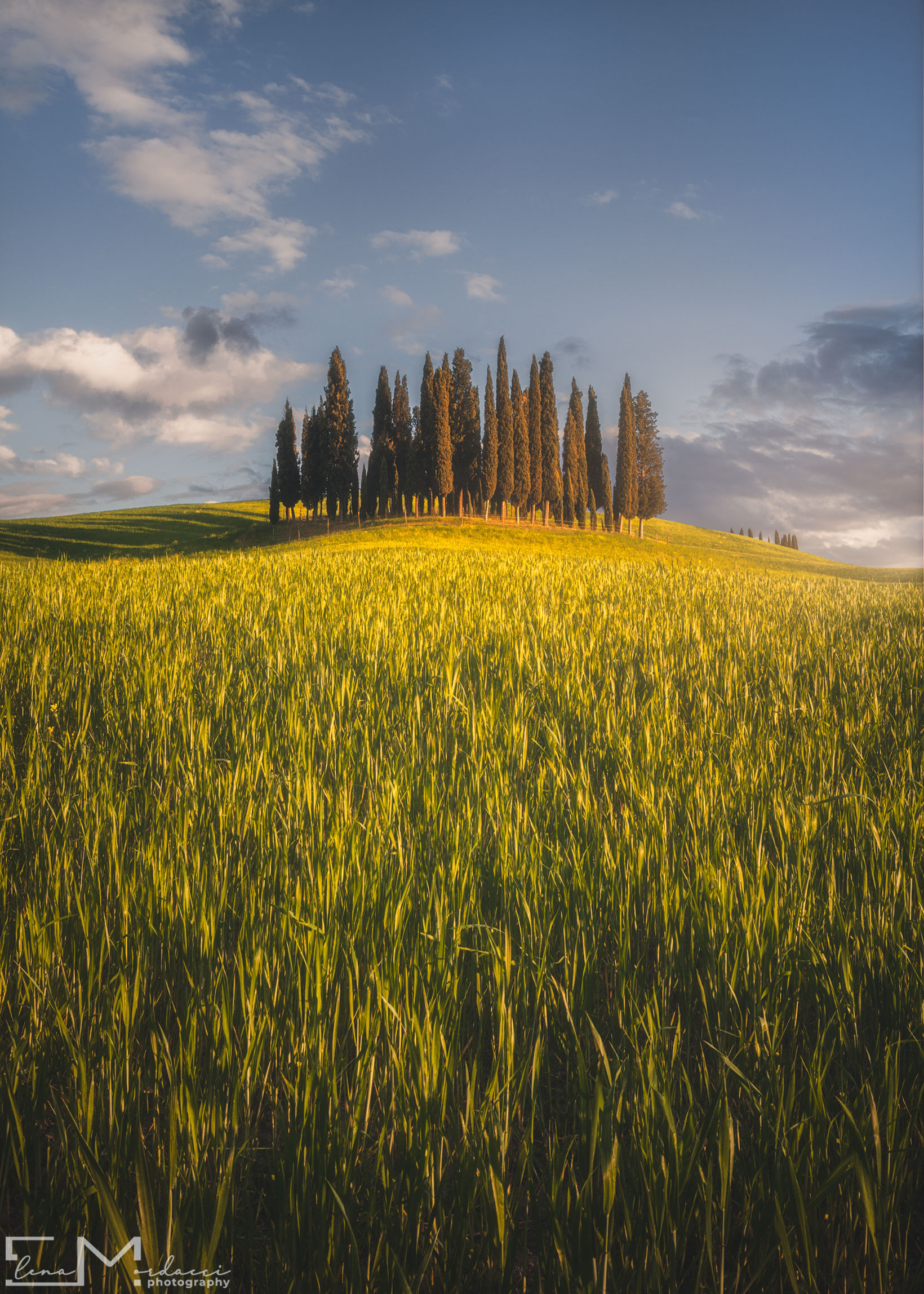 golden hour in Val d'Orcia...